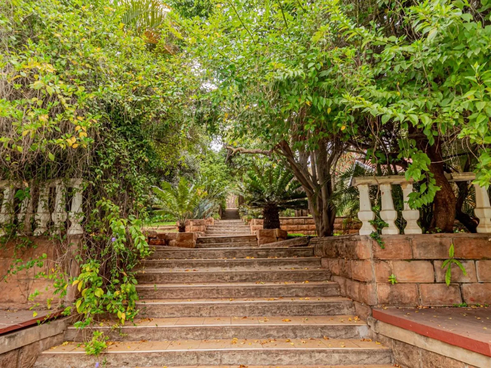 Garden in Casta Diva Boutique Hotel