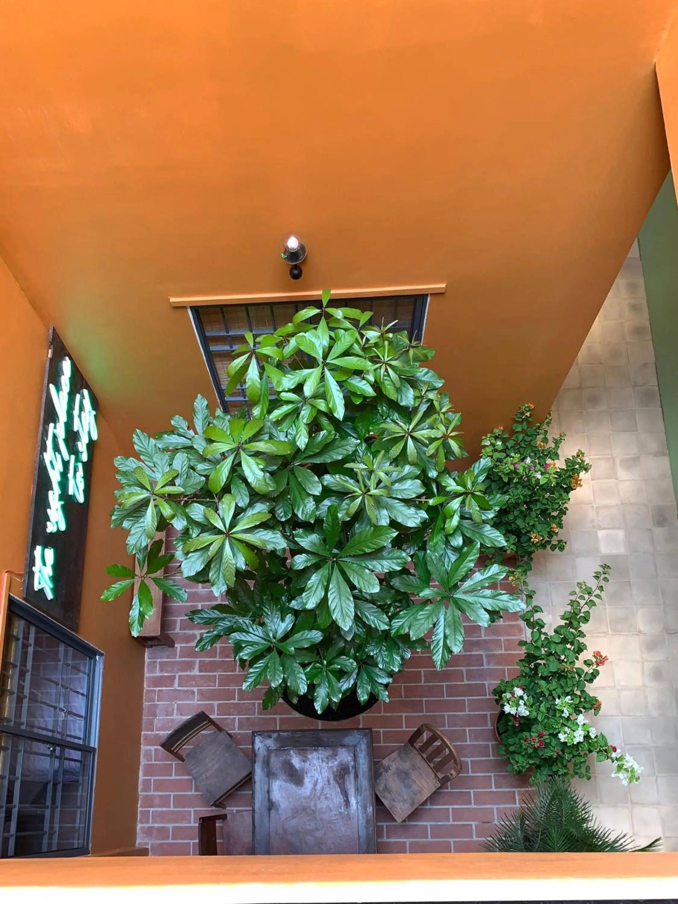 Garden view in Chí Hiếu Homestay