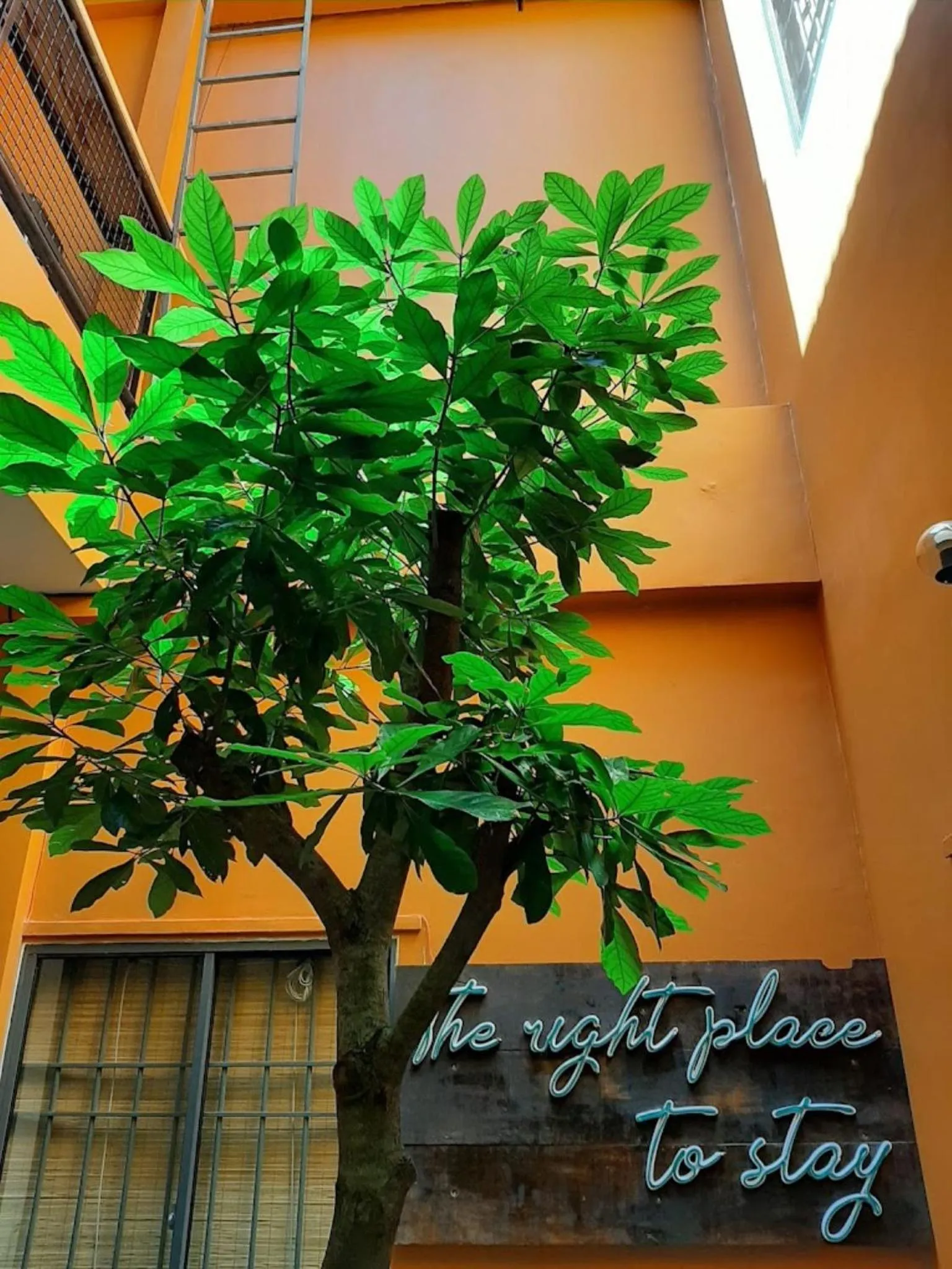 Property building in Chí Hiếu Homestay