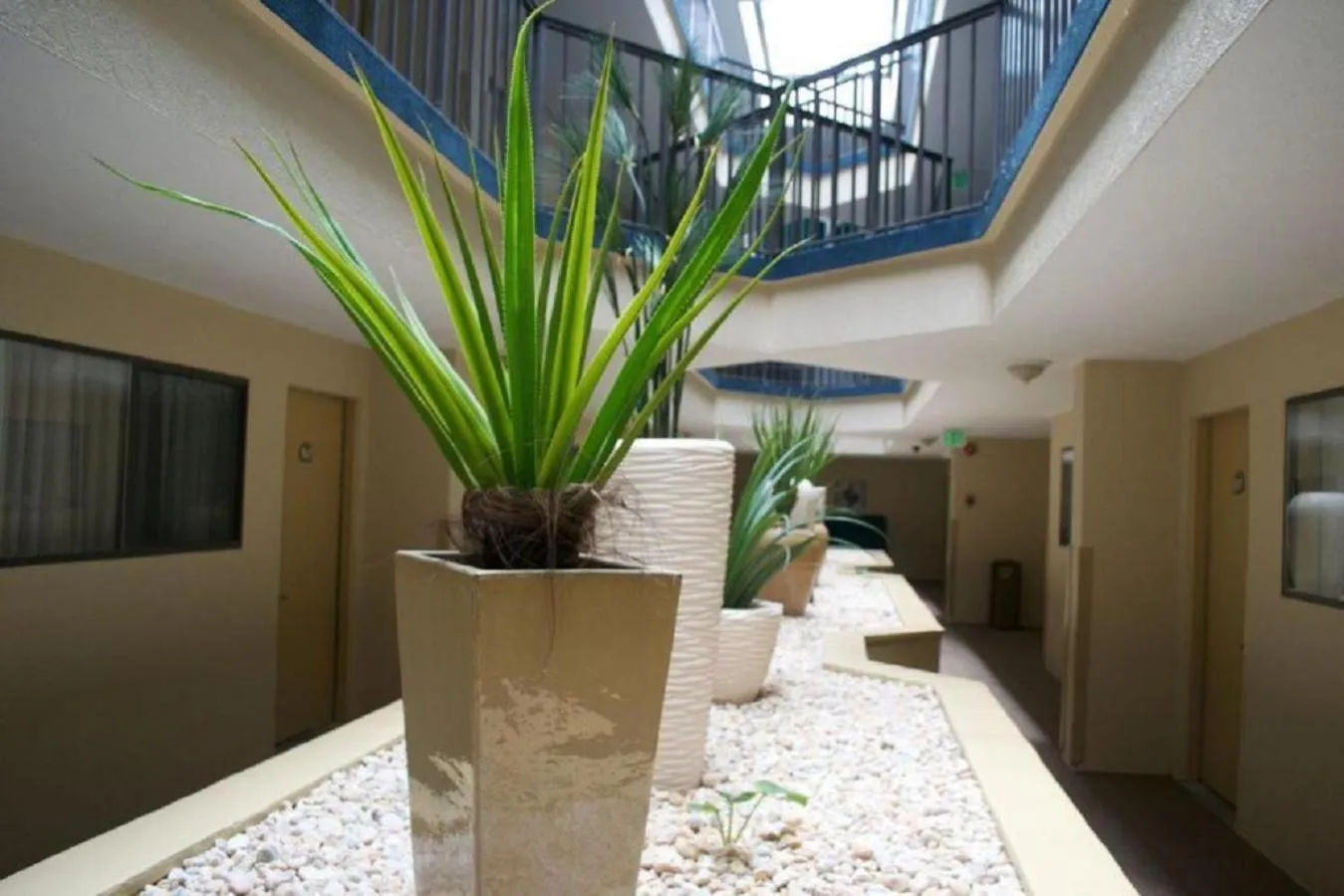 Area and facilities in Brighton Suites Hotel