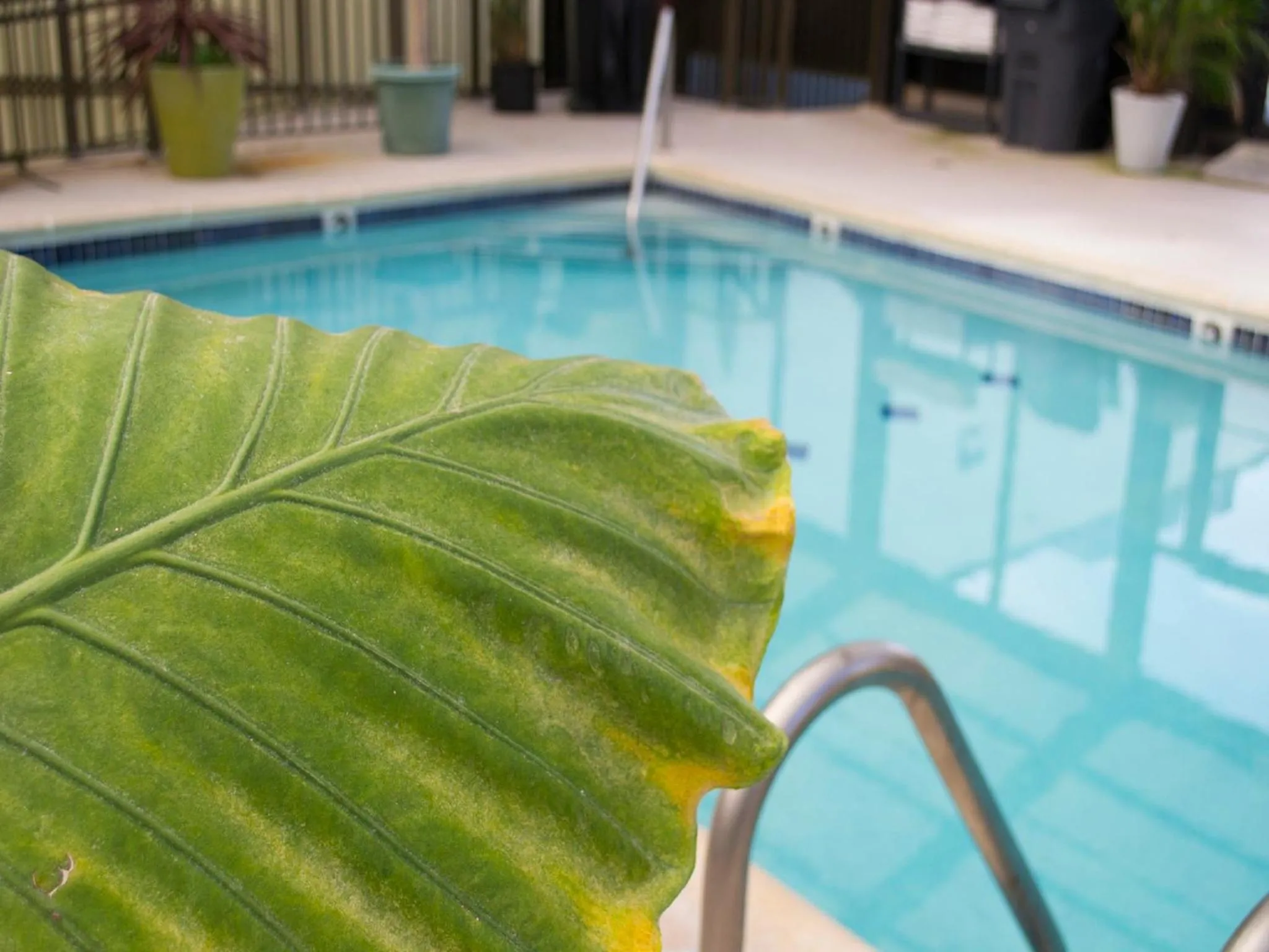 Pool view in Brighton Suites Hotel