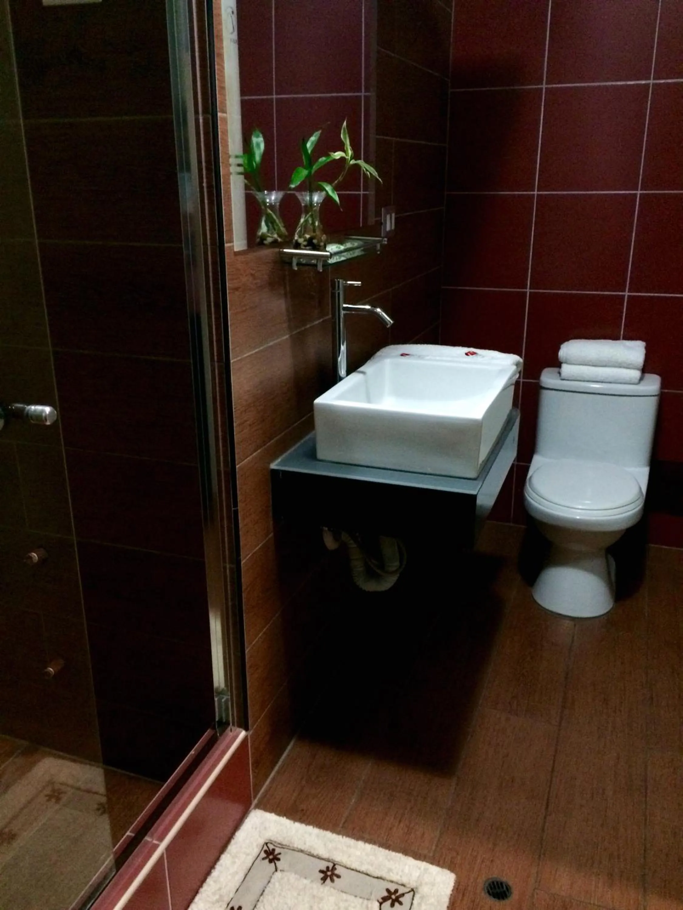 Shower in Plaza Sur Hotel & Suites