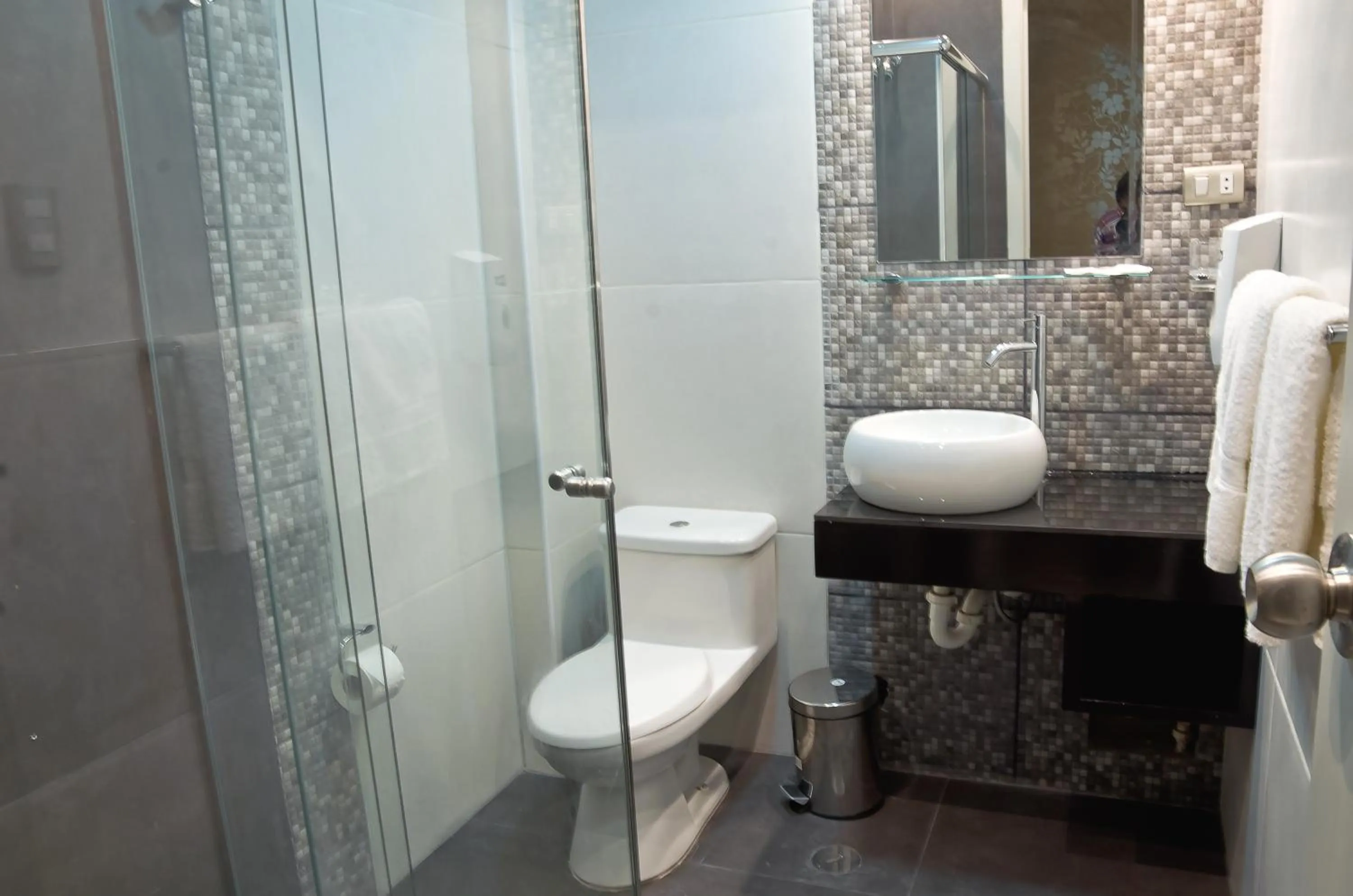 Toilet in Plaza Sur Hotel & Suites