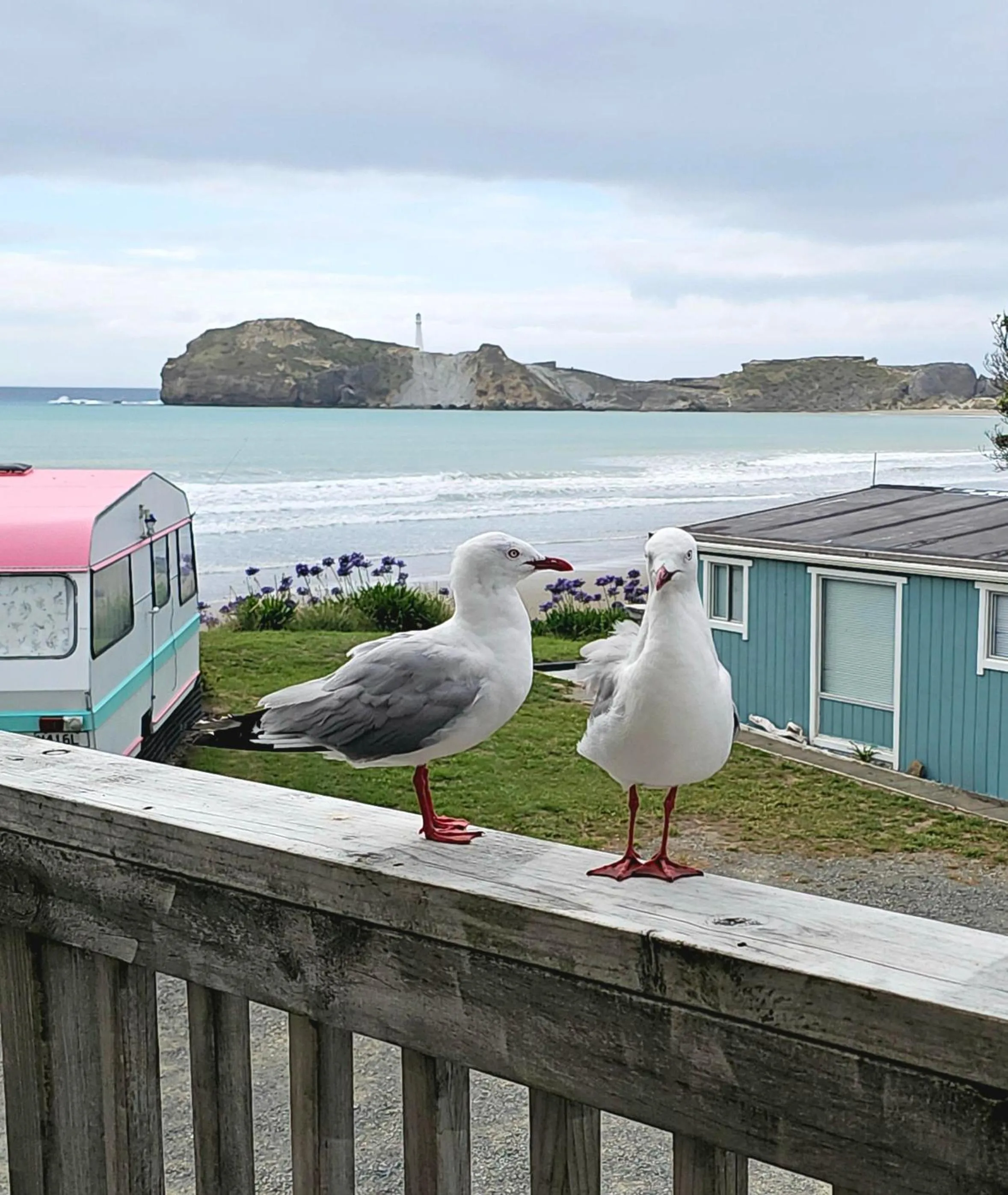 Castlepoint Holiday Park & Motels