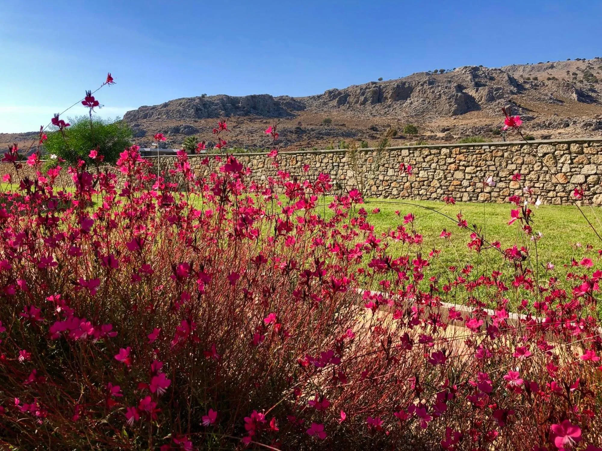 Day in Estrella Villas