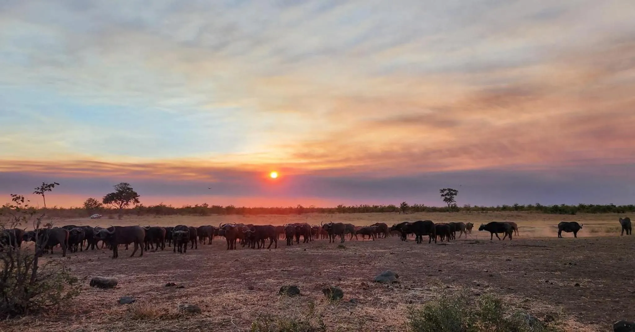 Hoedspruit Raptors Lodge N16