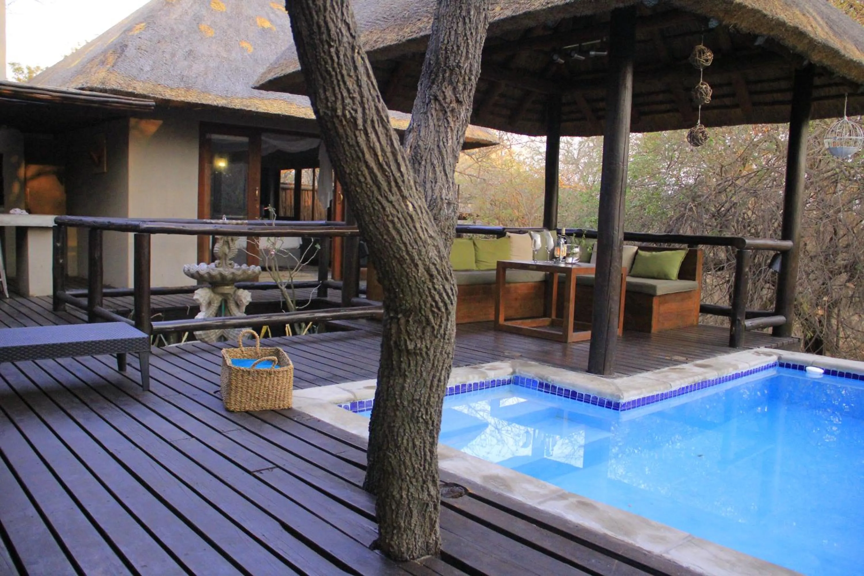 Swimming pool in Hoedspruit Raptors Lodge N16
