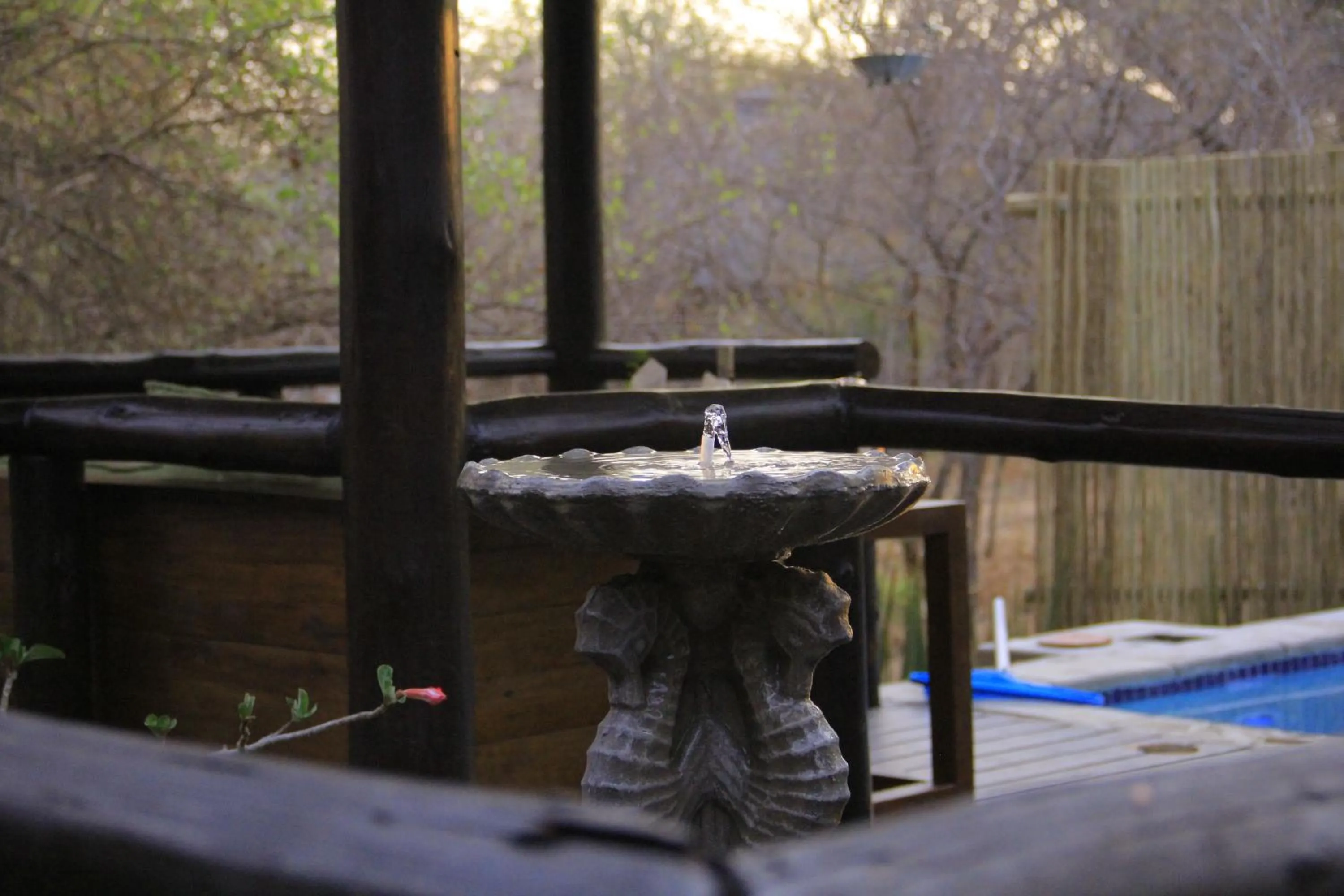 Aqua park in Hoedspruit Raptors Lodge N16