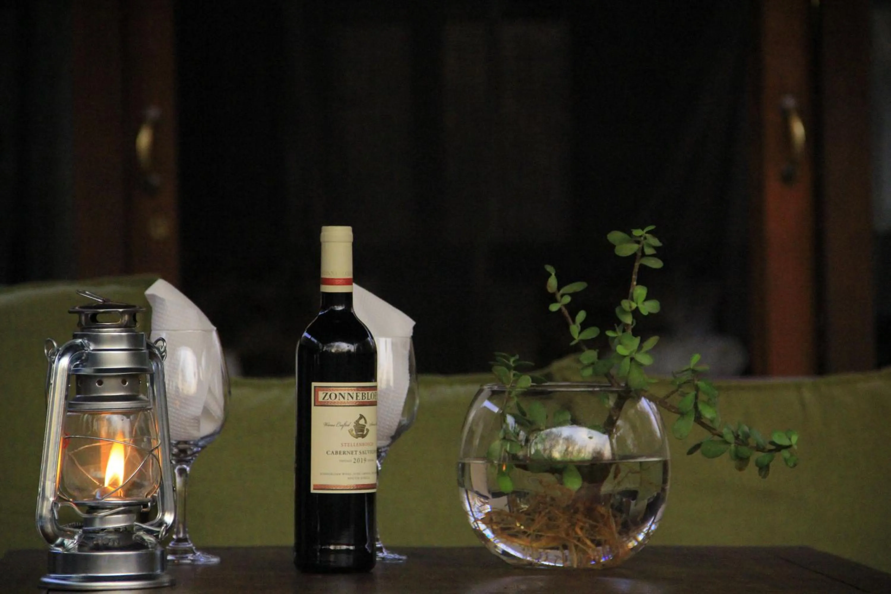 Drinks in Hoedspruit Raptors Lodge N16