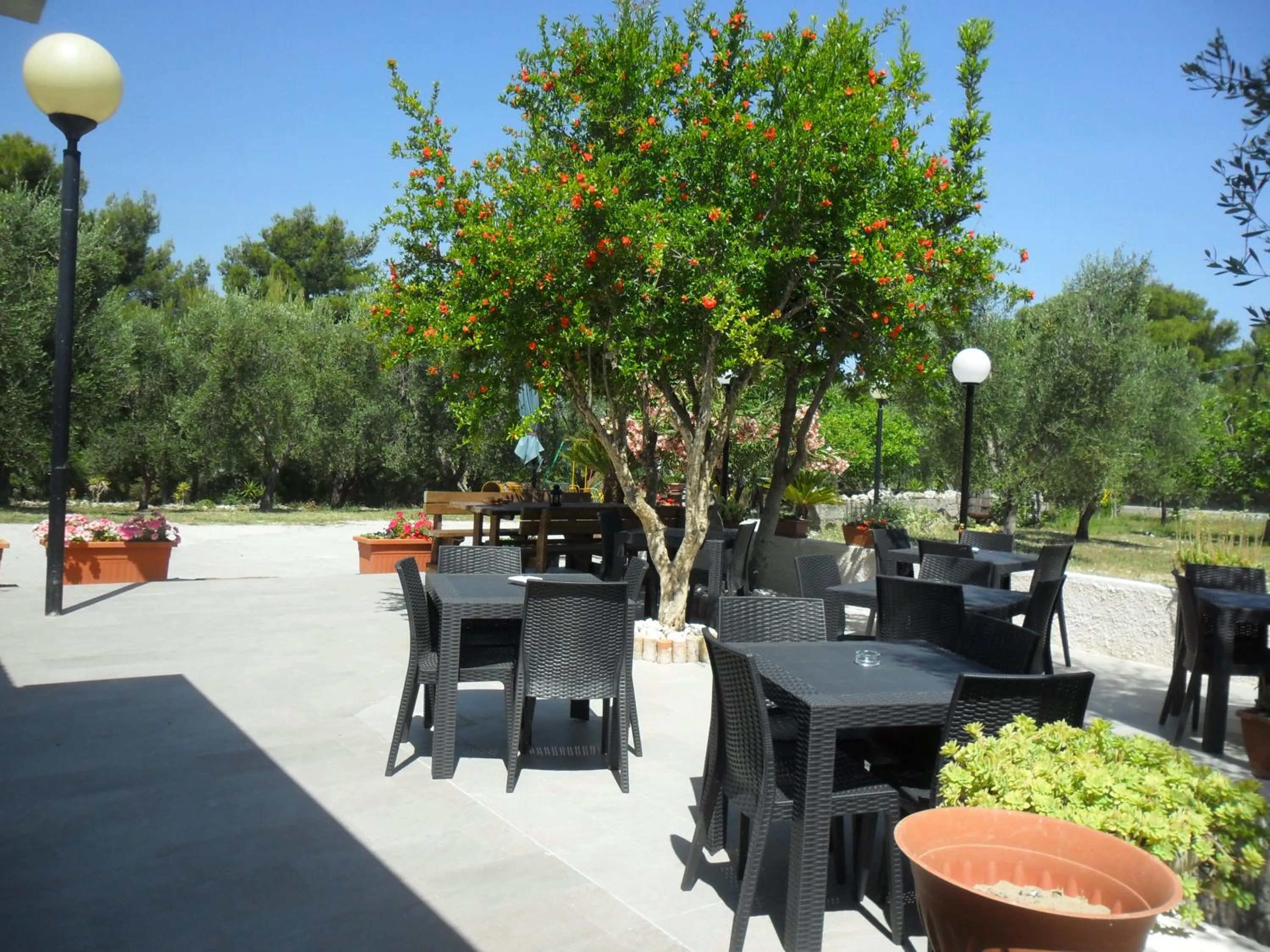 Garden in Osteria B&B Il Rifugio