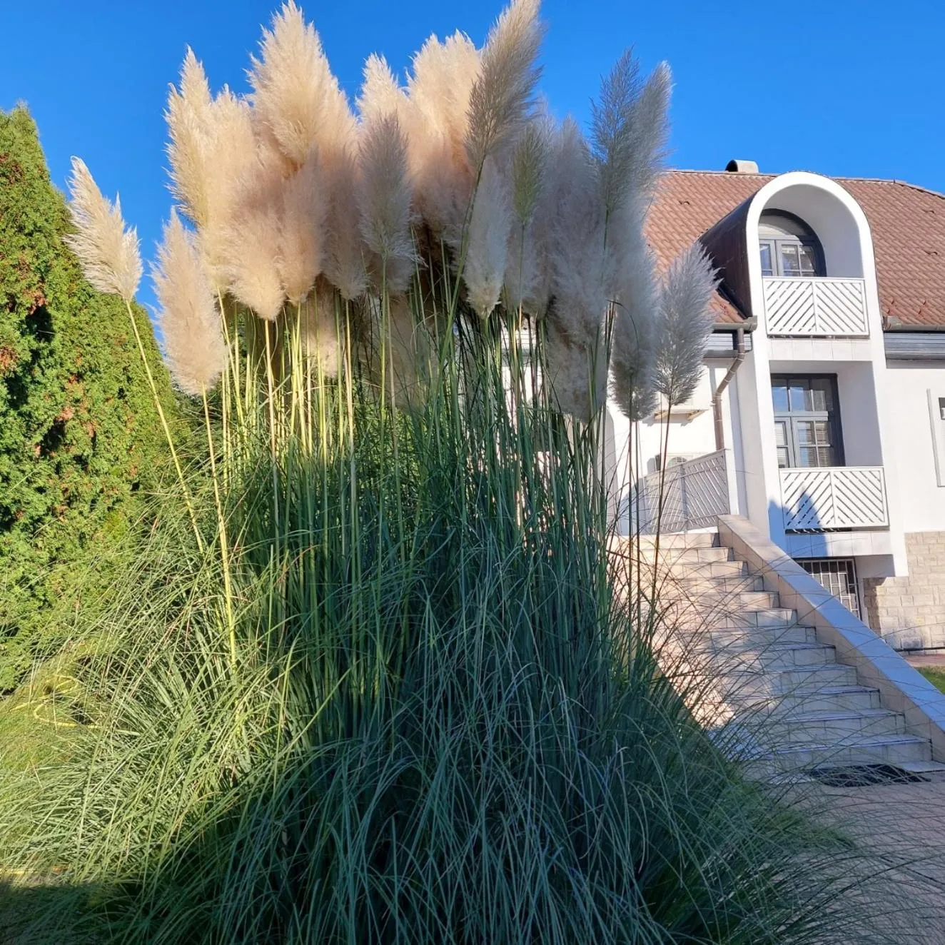 Napfény villa