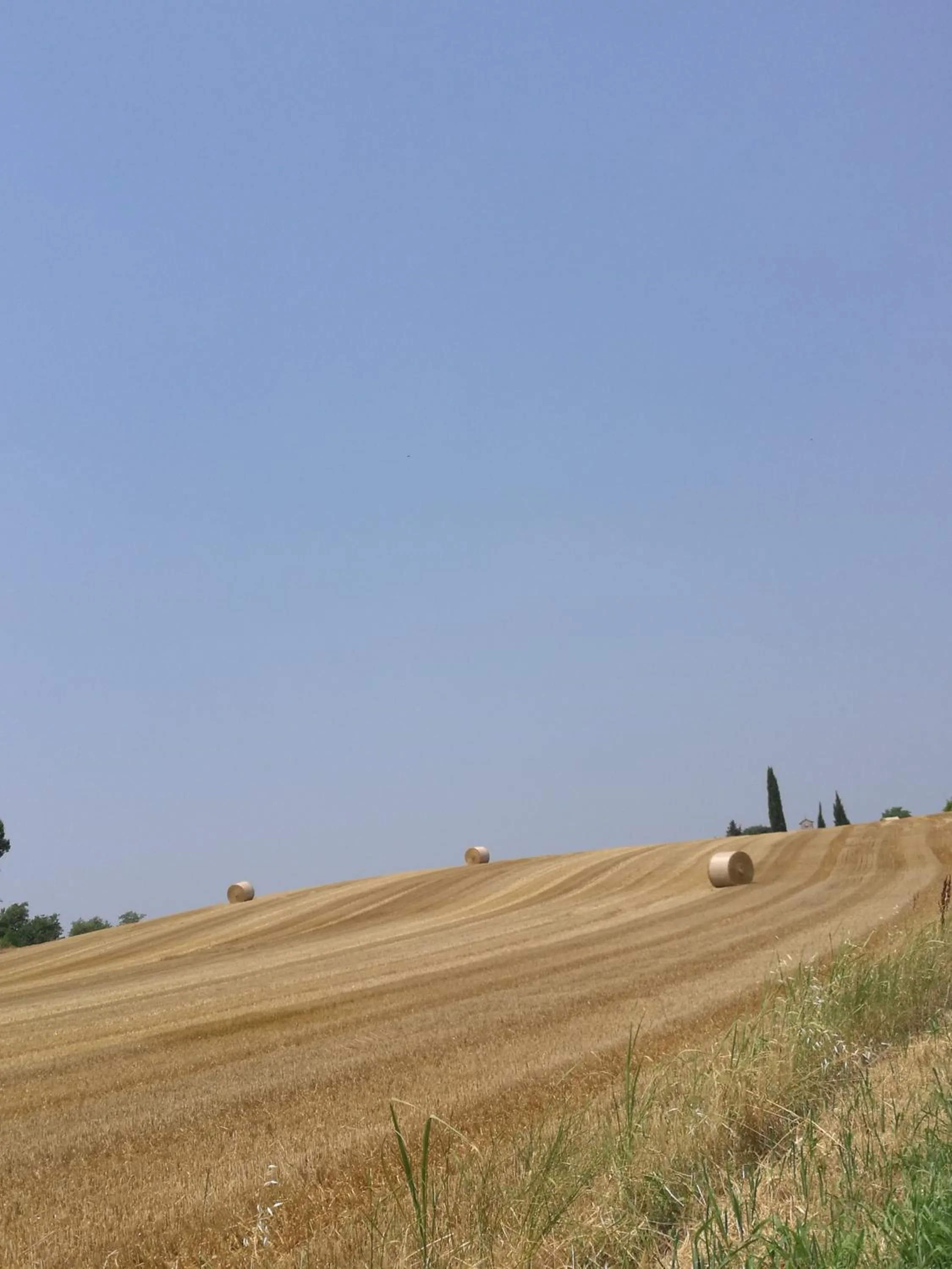 Natural landscape in La Piana