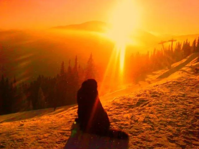 Chata Kosodrevina - Turistická ubytovňa