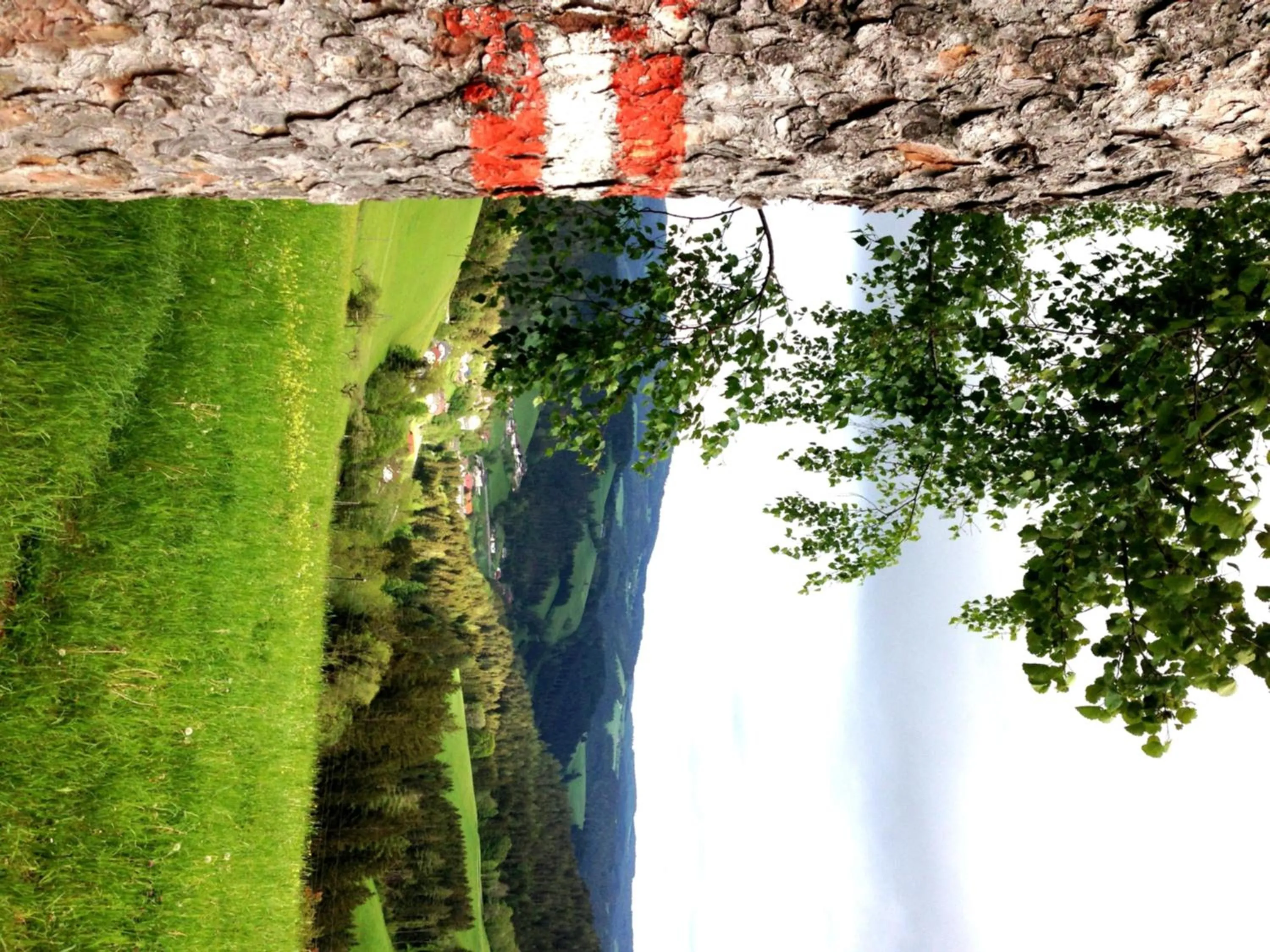 Natural landscape in Gasthof zur Post