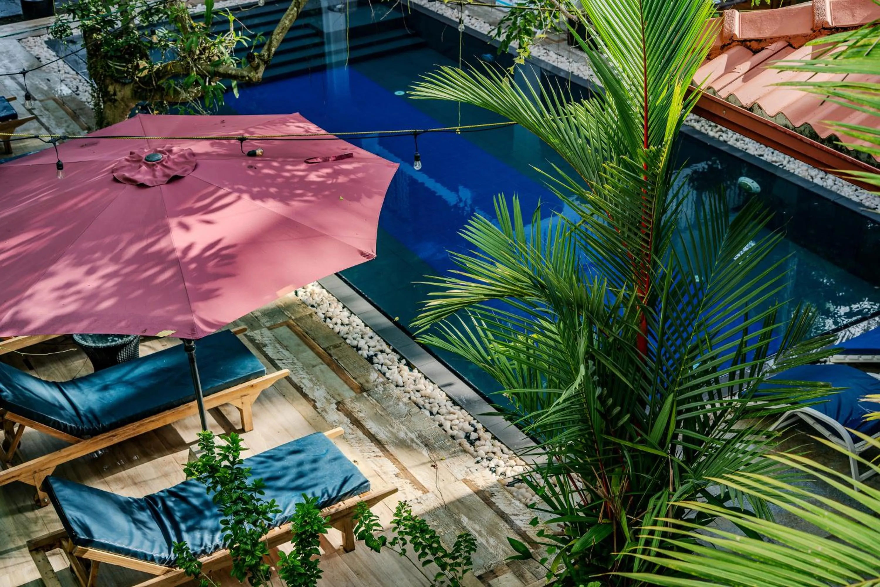 Pool view in Villa Red Lobster