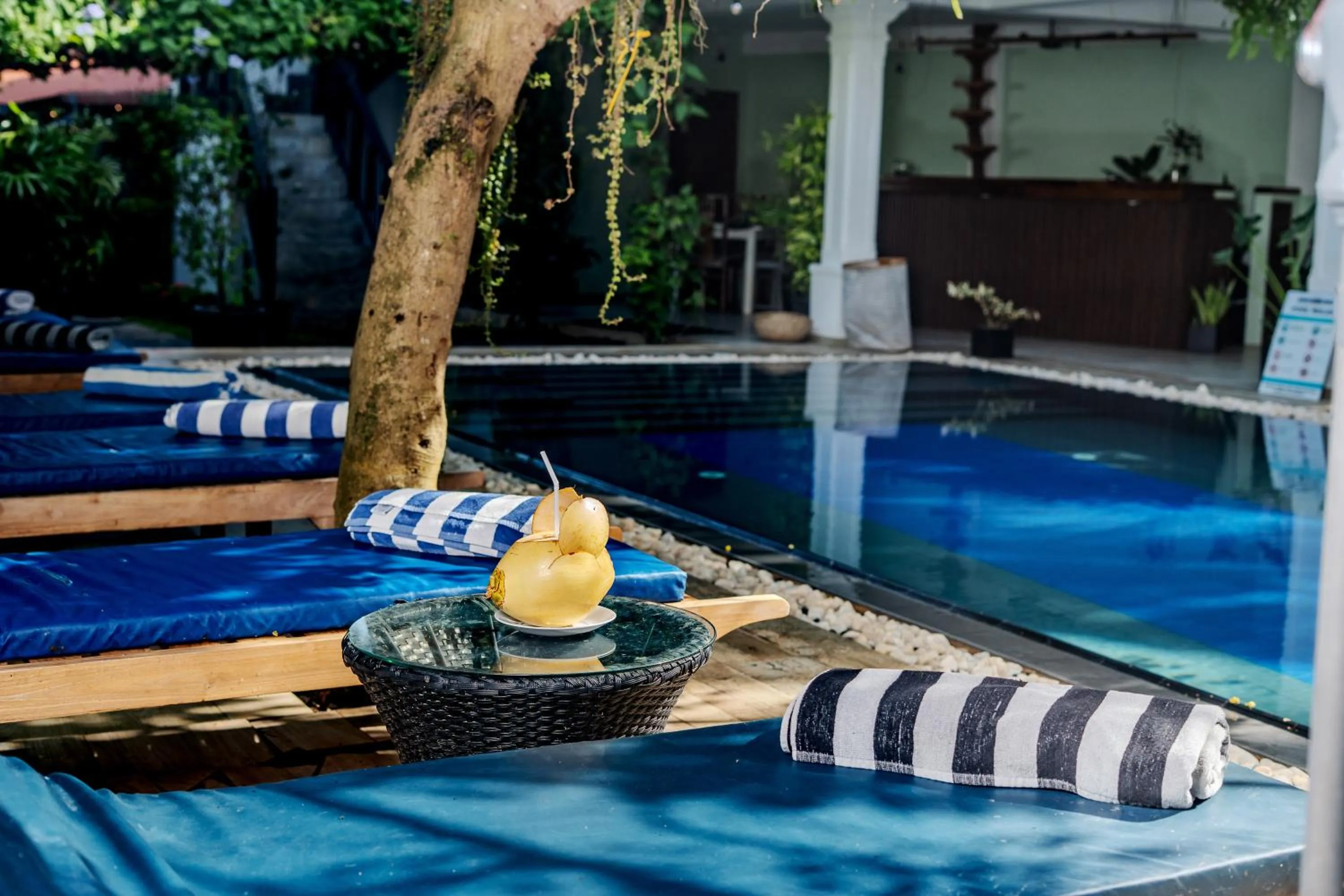 Pool view in Villa Red Lobster