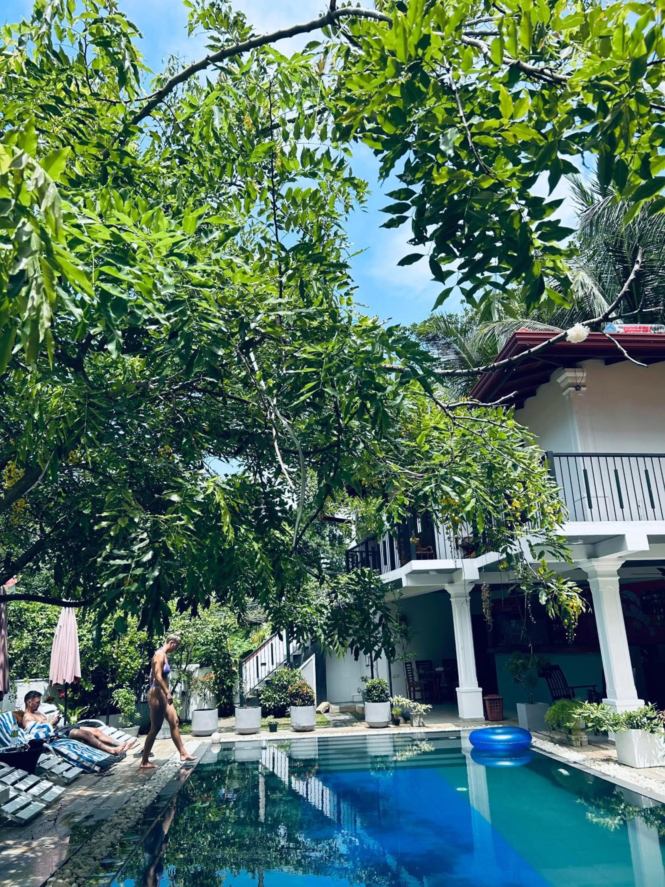 Swimming pool in Villa Red Lobster