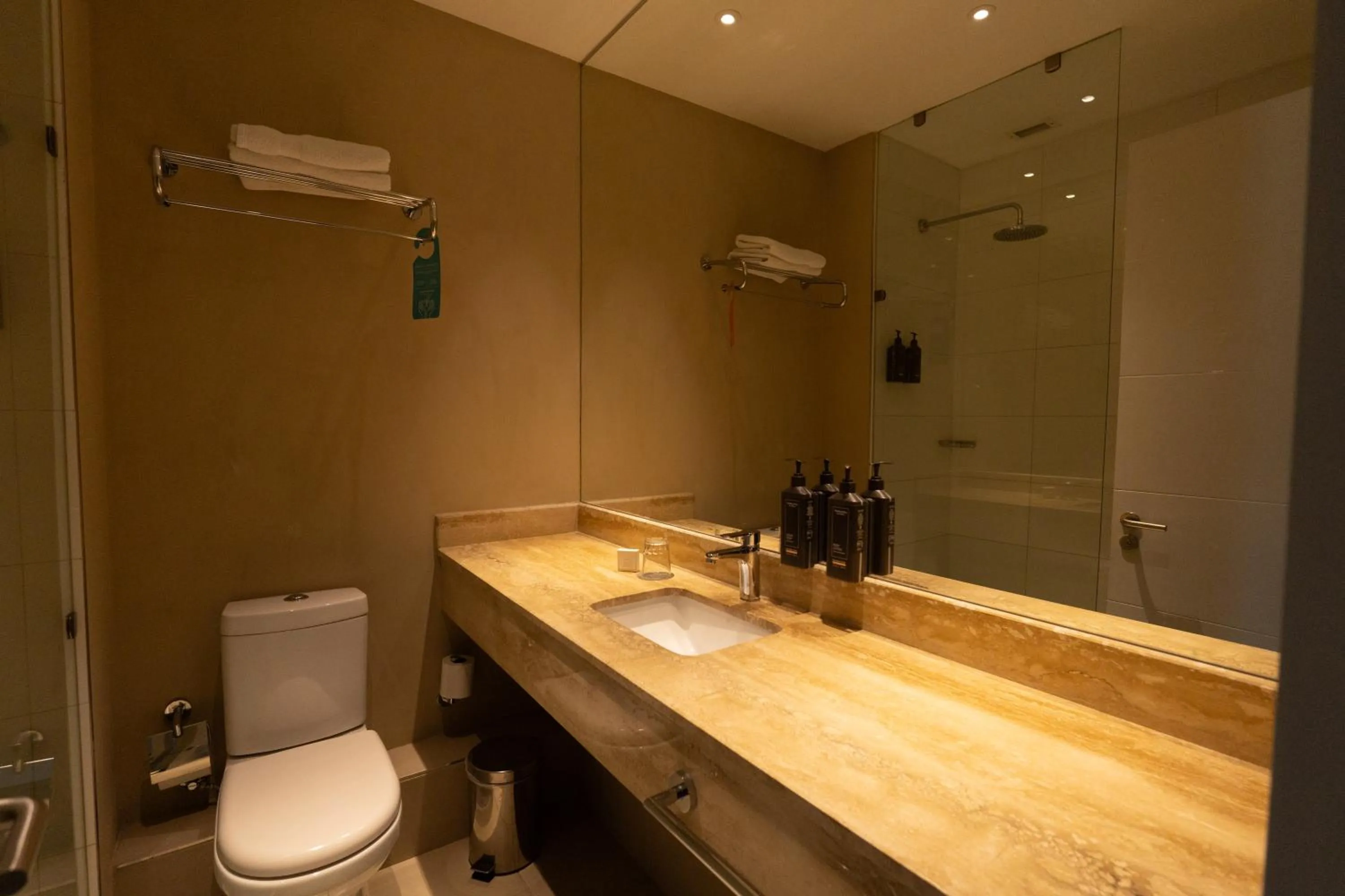 Bathroom in Hotel Terrado Rancagua