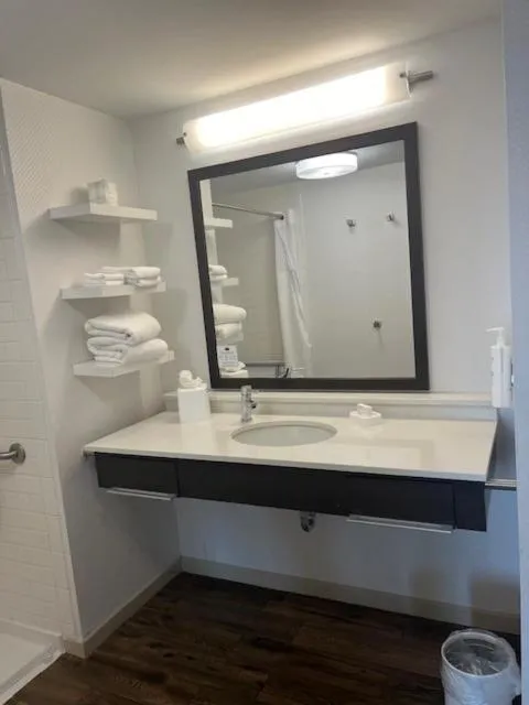 Bathroom in Hampton Inn and Suites Fort Mill, SC