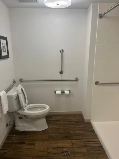 Toilet in Hampton Inn and Suites Fort Mill, SC