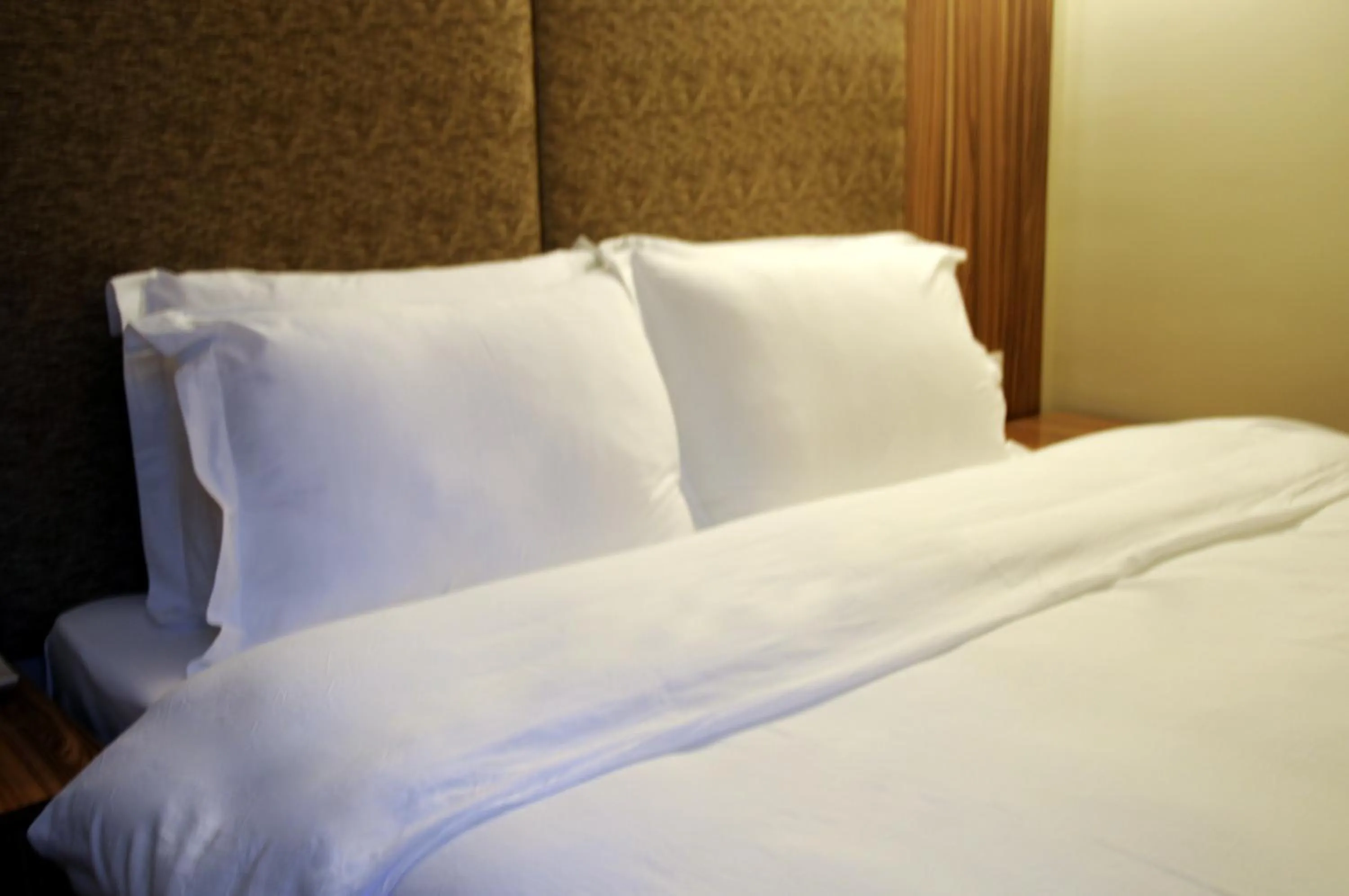 Decorative detail, Bed in Tehran Boutique Hotel