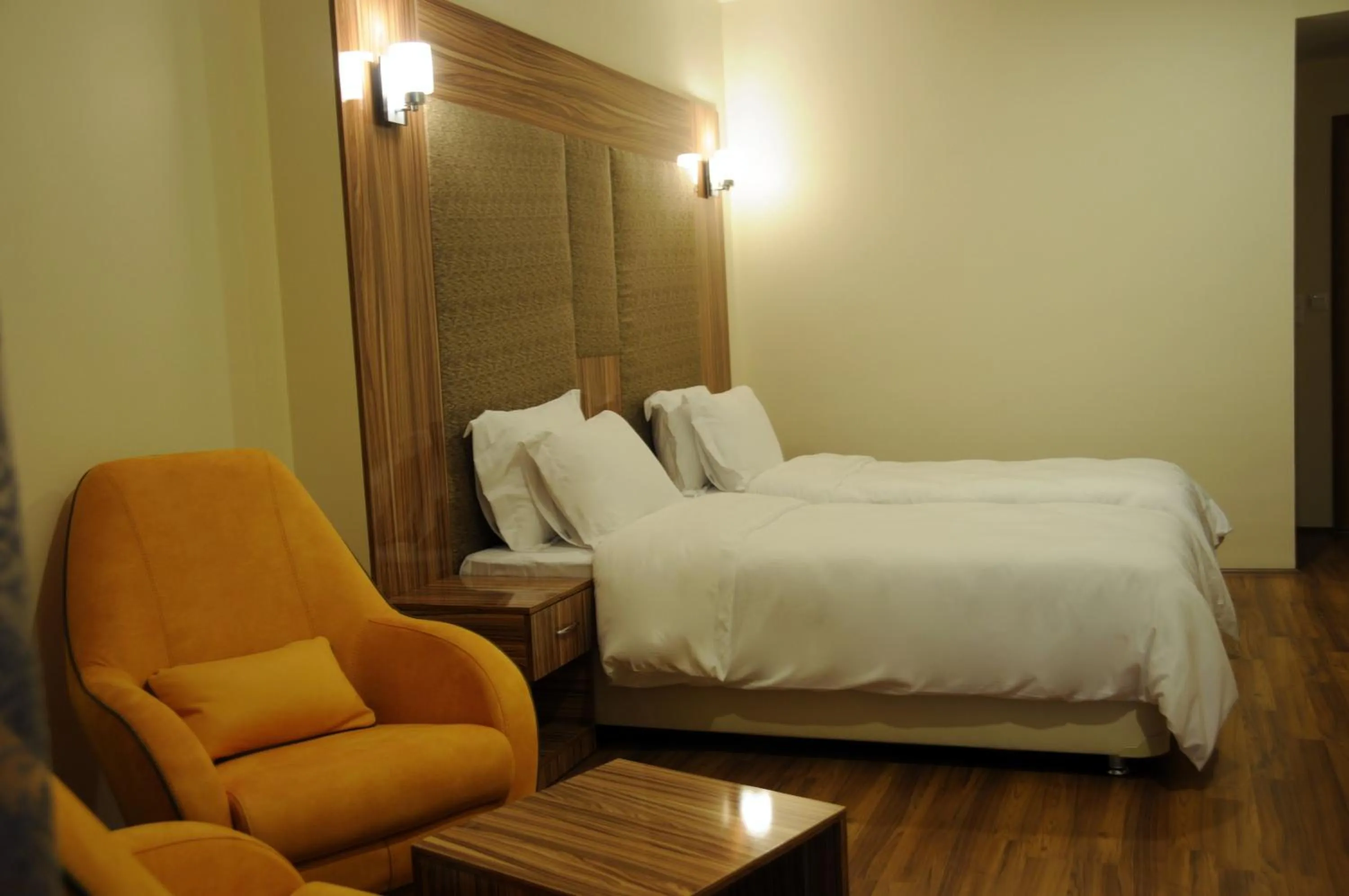 Photo of the whole room, Bed in Tehran Boutique Hotel