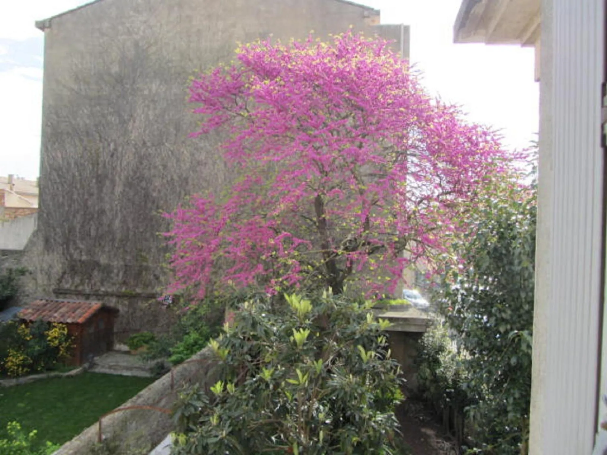 Property building in Aude Cité-City