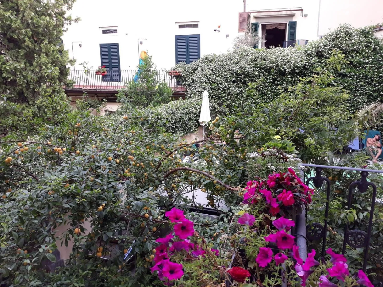 Garden in Hotel Ginori Al Duomo - dBe Hotels