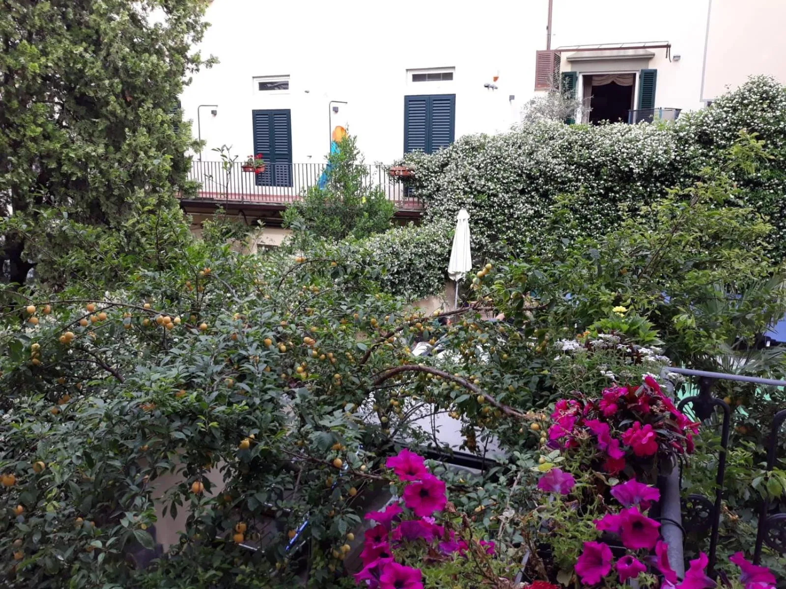 Swimming pool in Hotel Ginori Al Duomo - dBe Hotels