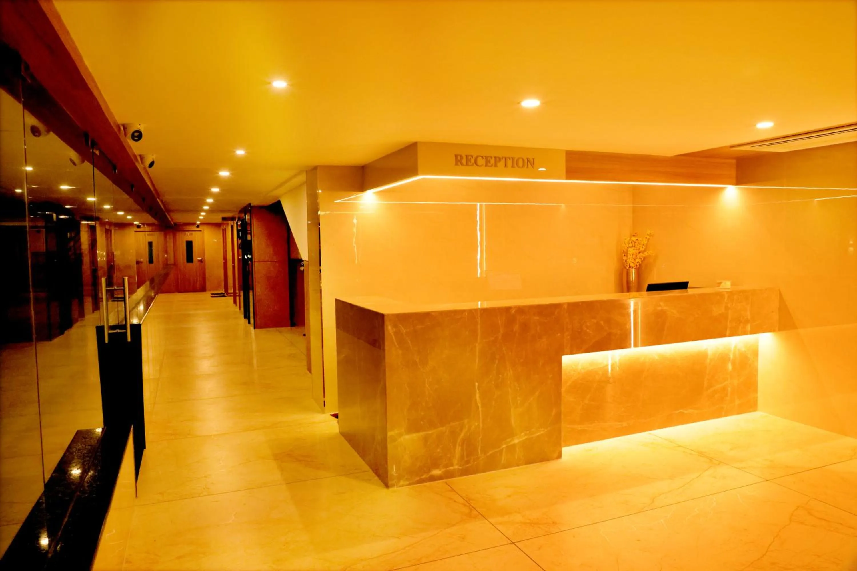 Lobby or reception in Hotel Le Palace