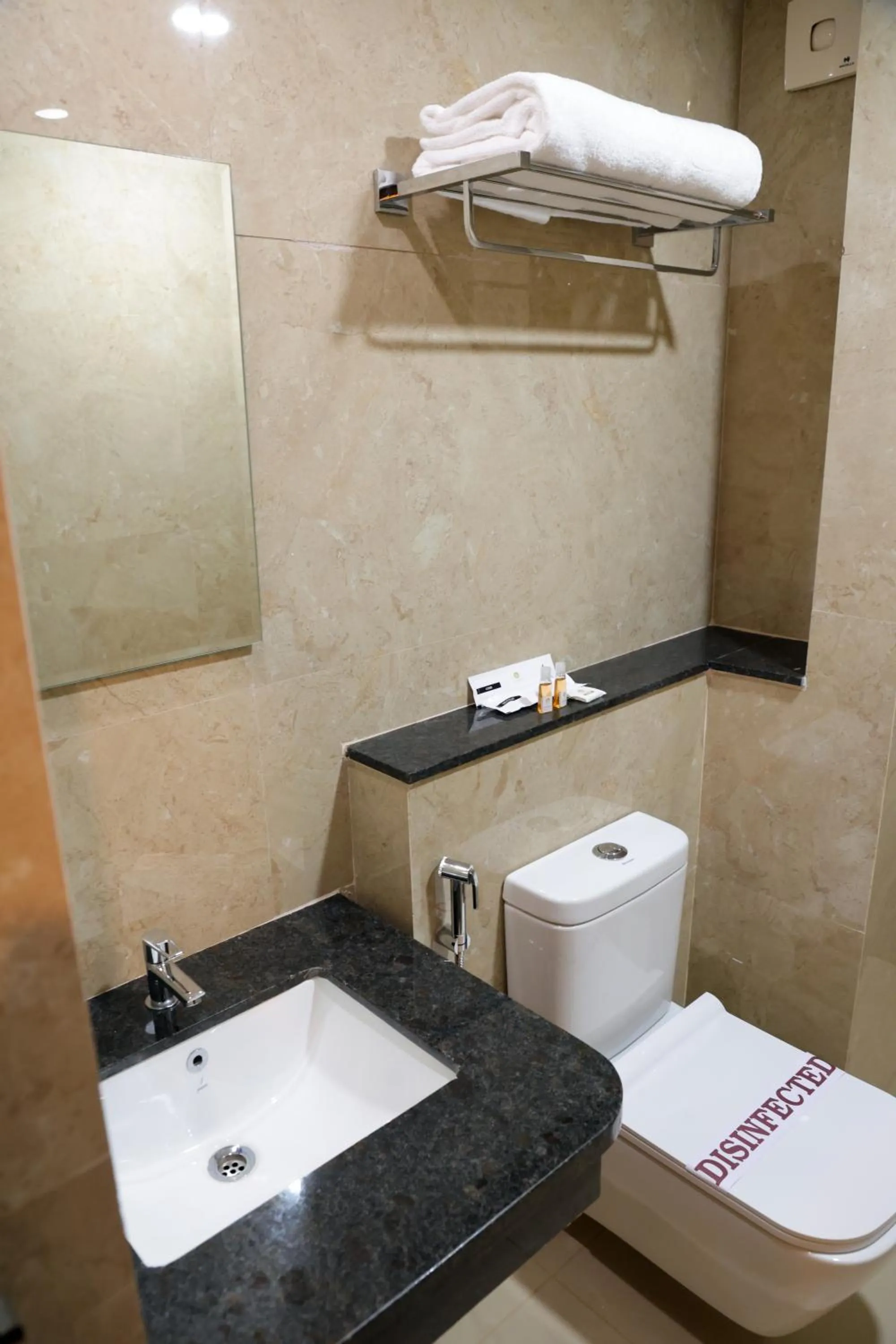 Bathroom in Hotel Le Palace