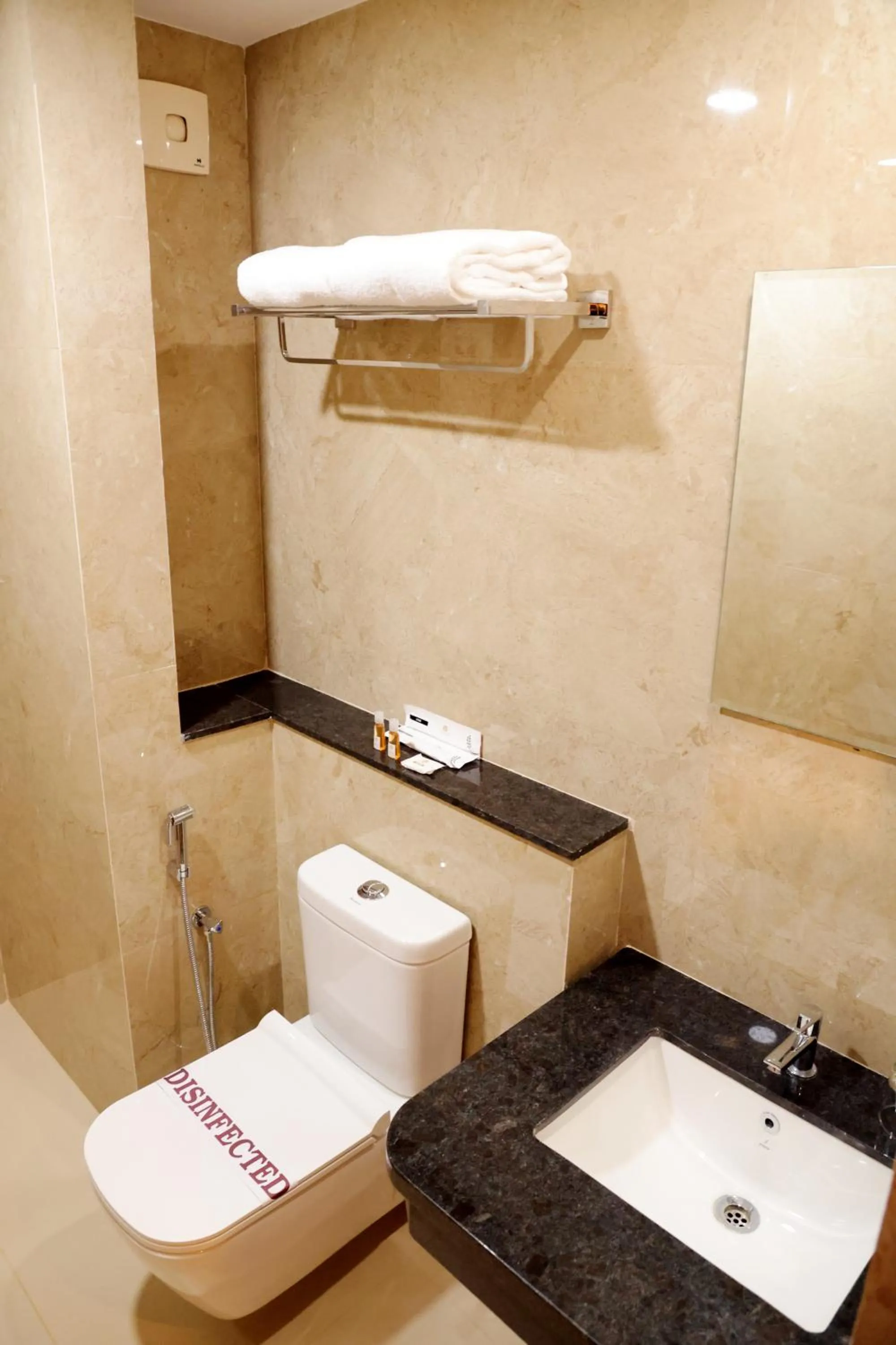 Toilet in Hotel Le Palace