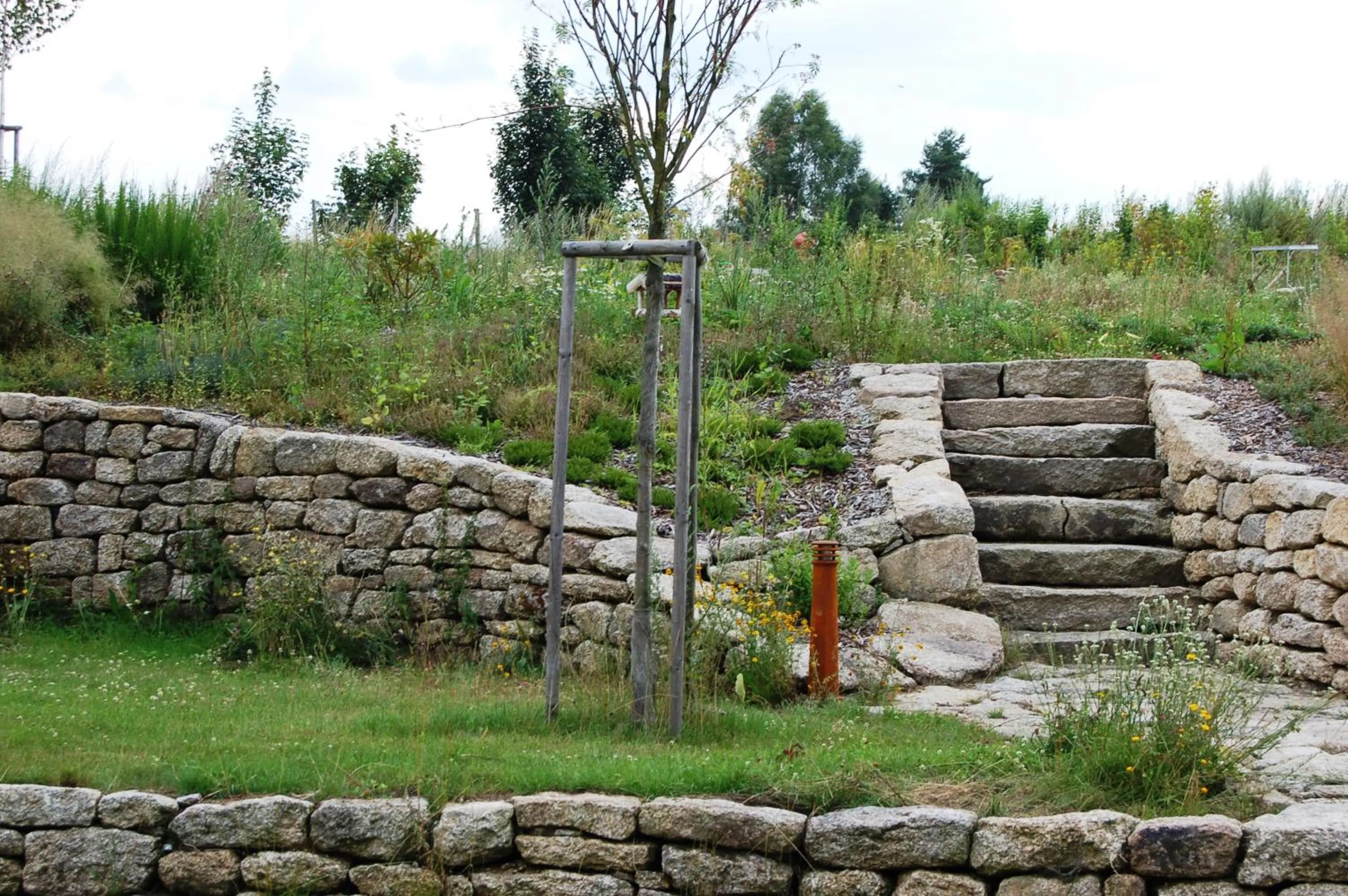 Natural landscape in Matějovec38