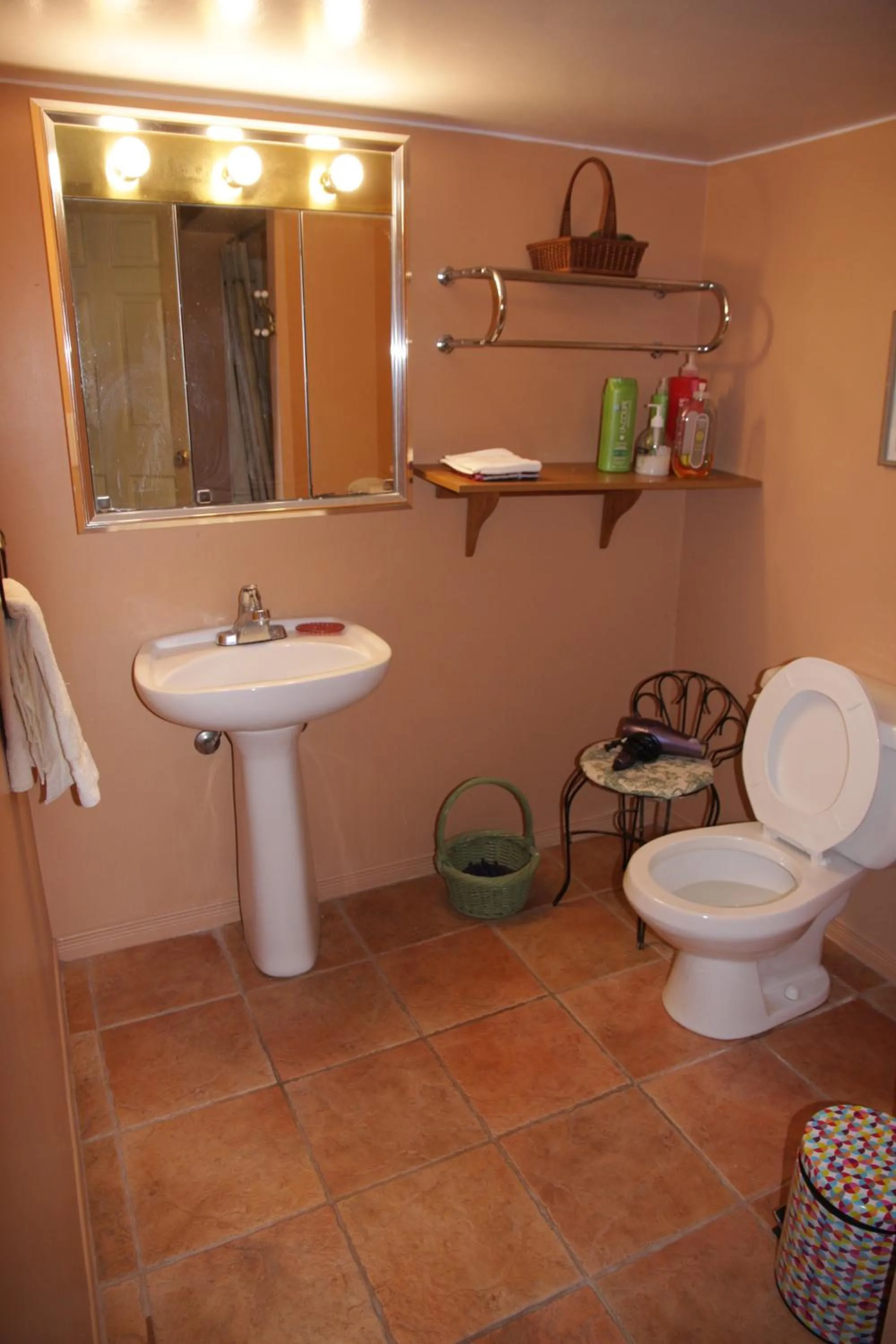 Bathroom in O'Brien House