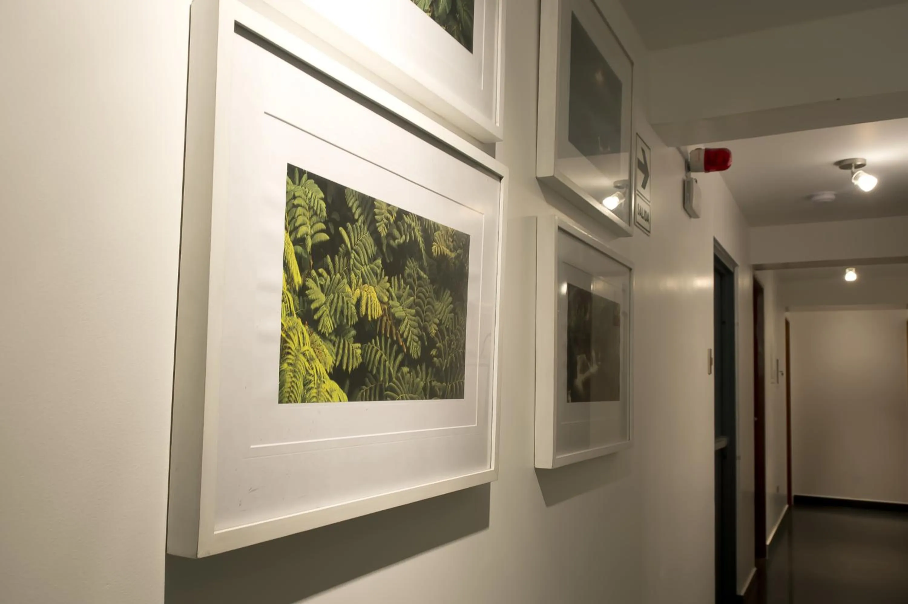 Decorative detail in Arvo Hotel Boutique