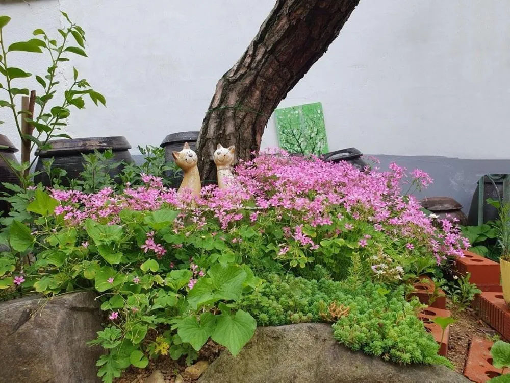 Jeonju Geuriunjib Guesthouse