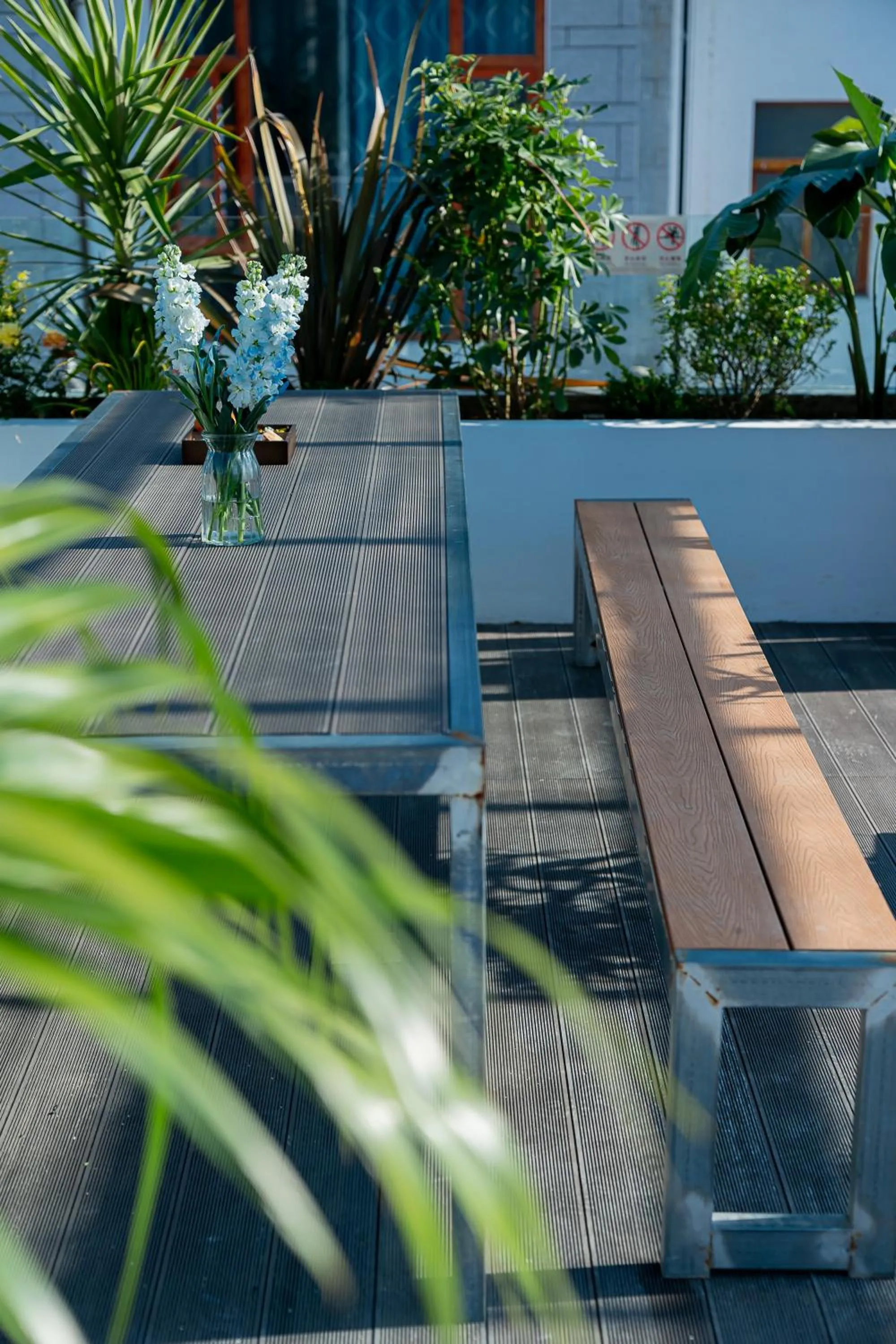 Day in Wuyi Whispering Maple