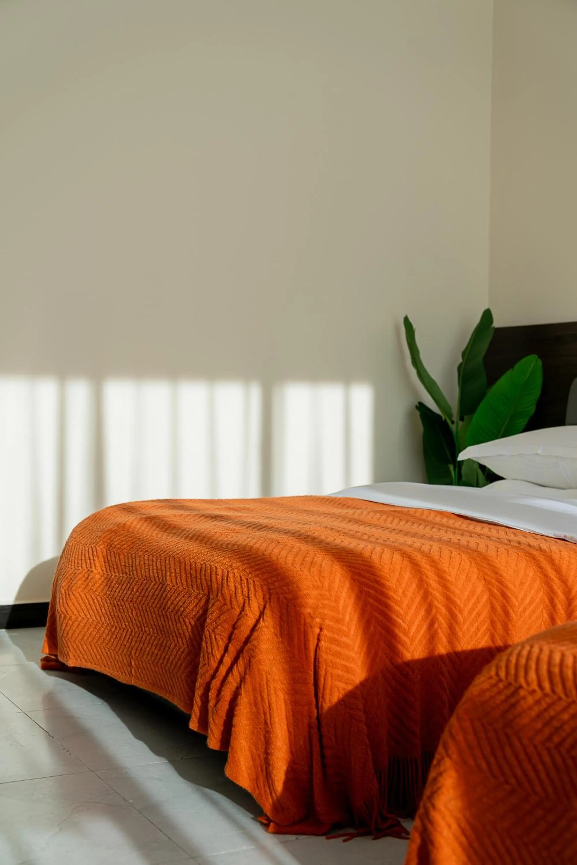 Bed in Wuyi Whispering Maple