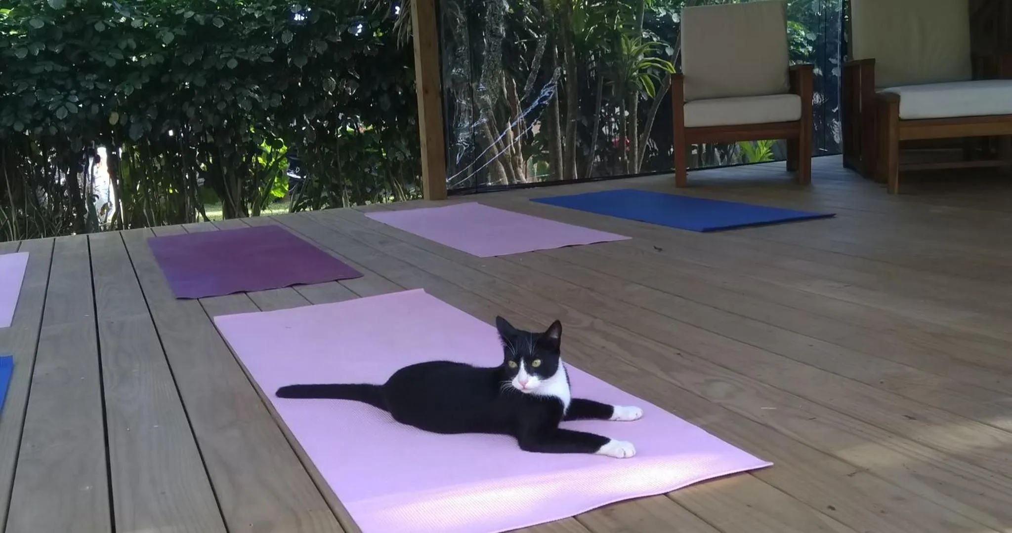 Spa and wellness centre/facilities in Ikurangi Eco Retreat