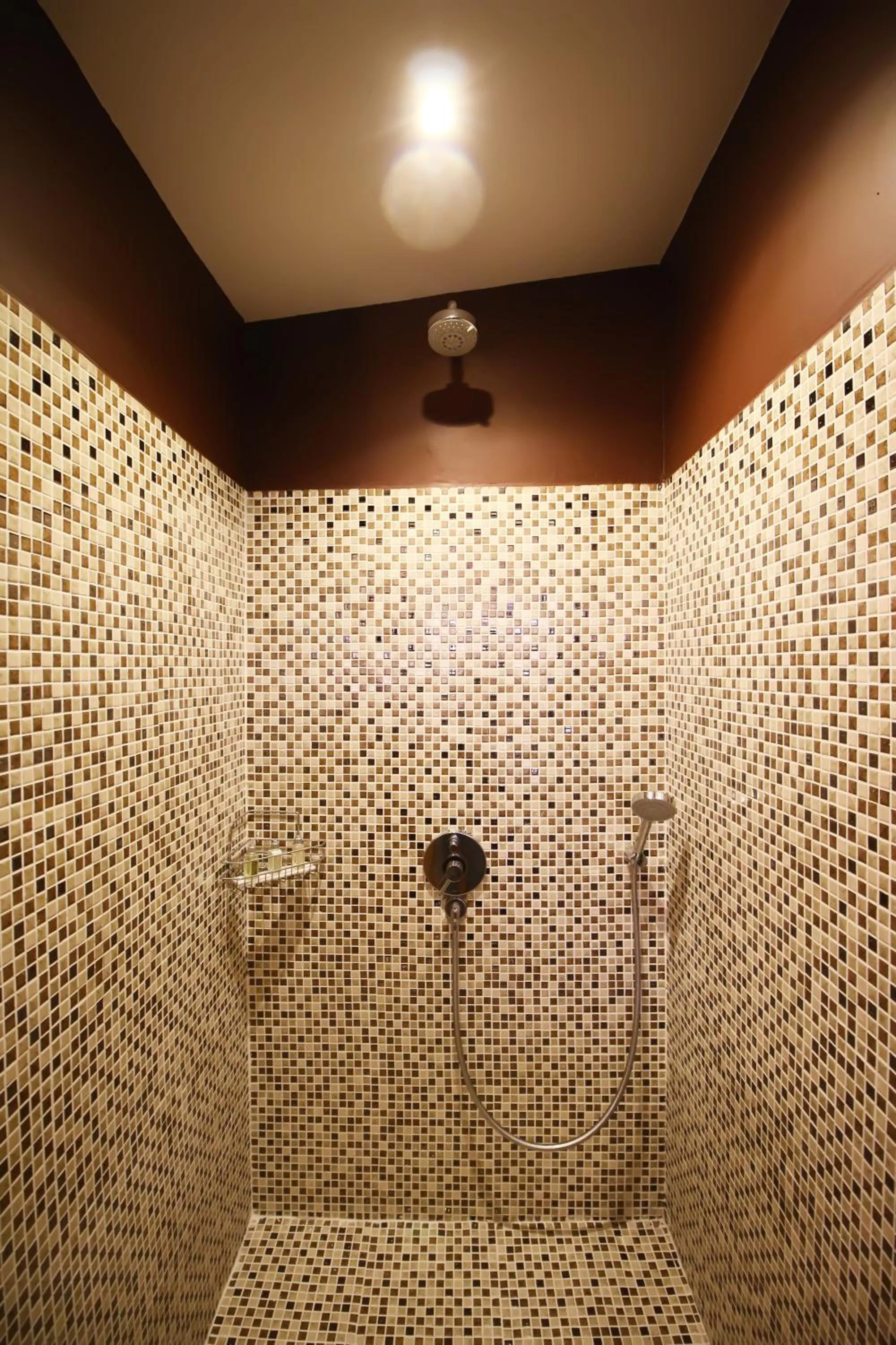 Shower in Sky Suites