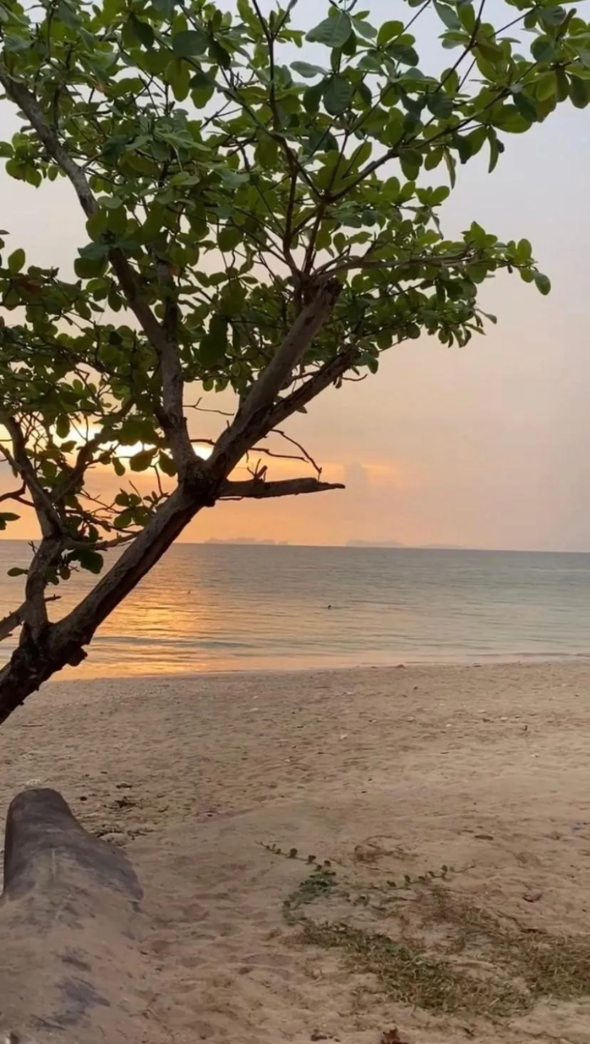 Day in Peace Lanta Mansion