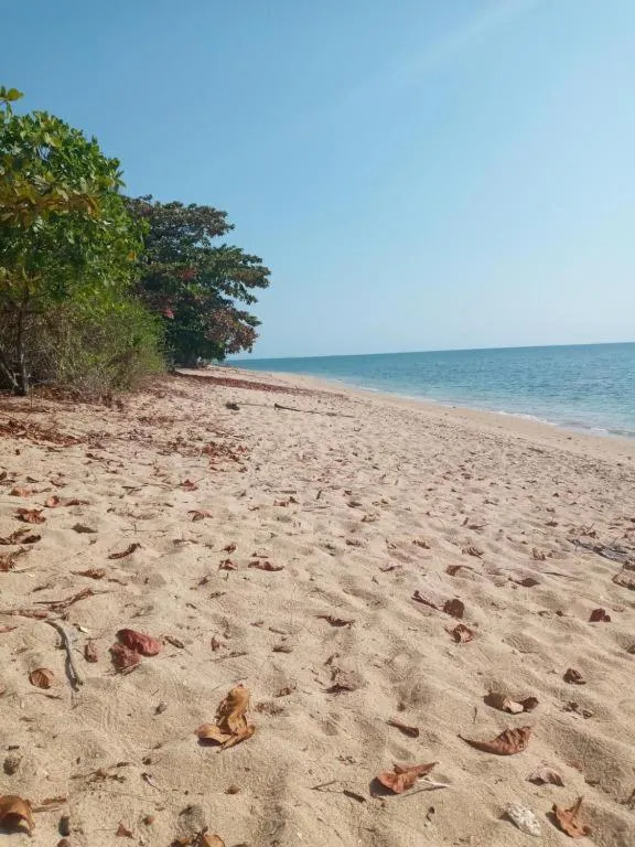 Day in Peace Lanta Mansion