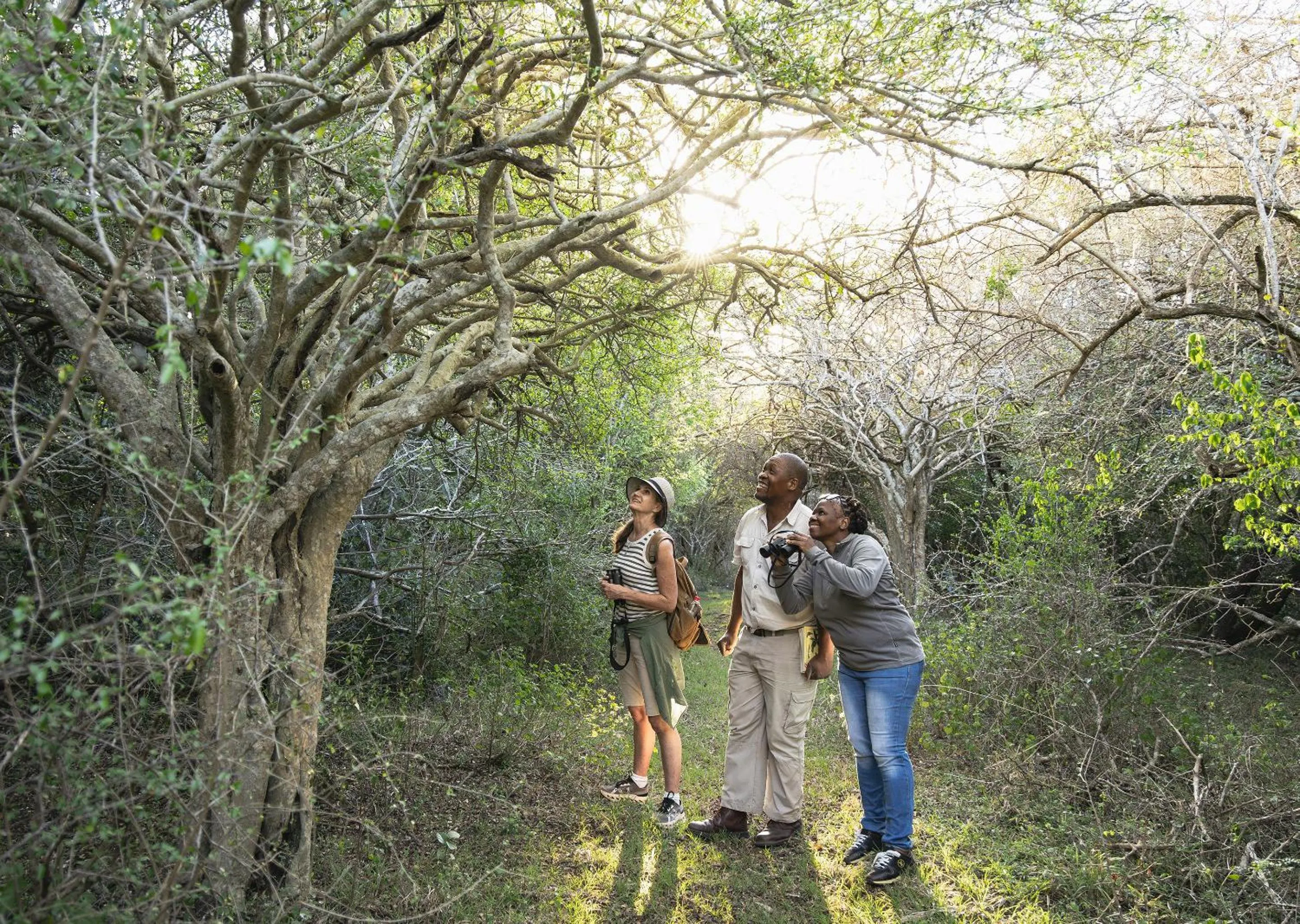 Spring in Malkoha Lake St Lucia