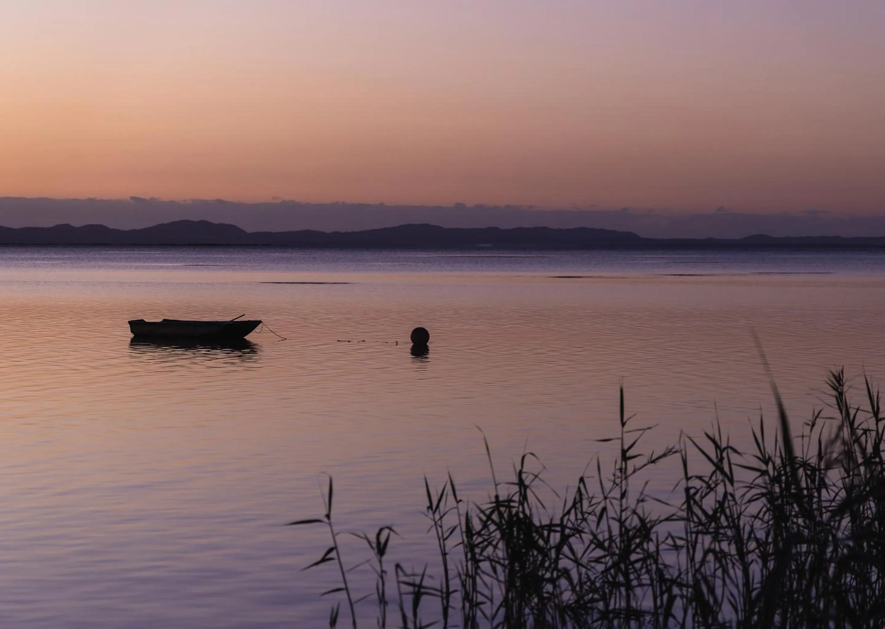 Natural landscape in Malkoha Lake St Lucia