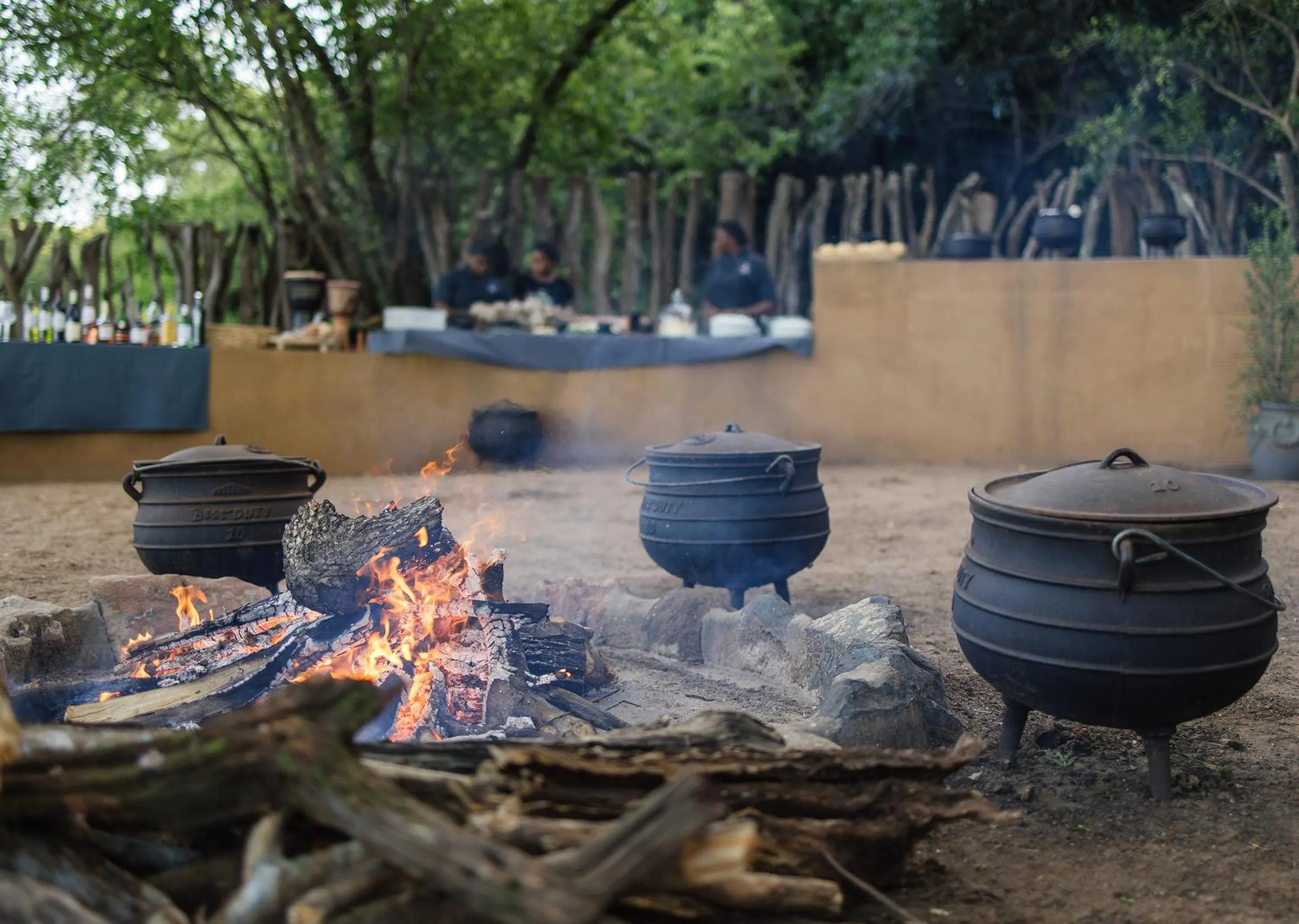 Day in Malkoha Lake St Lucia