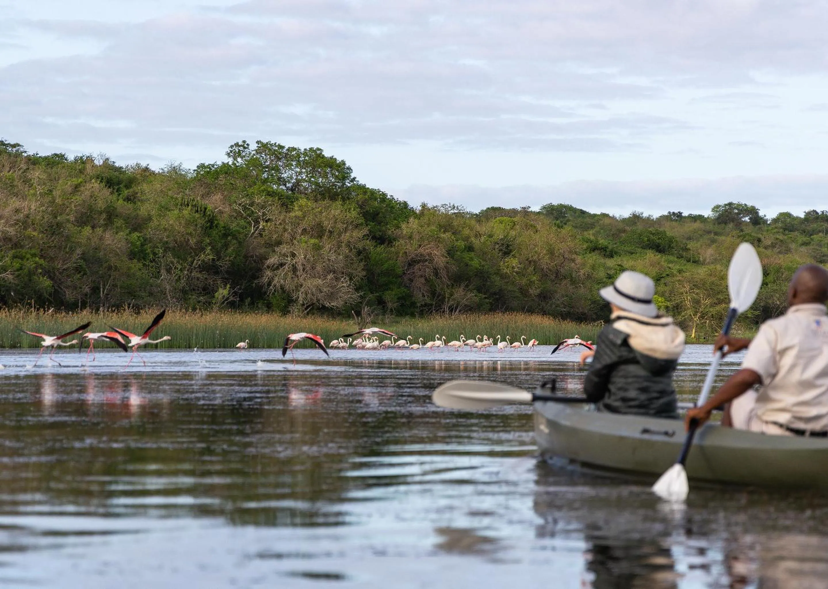 Day in Malkoha Lake St Lucia