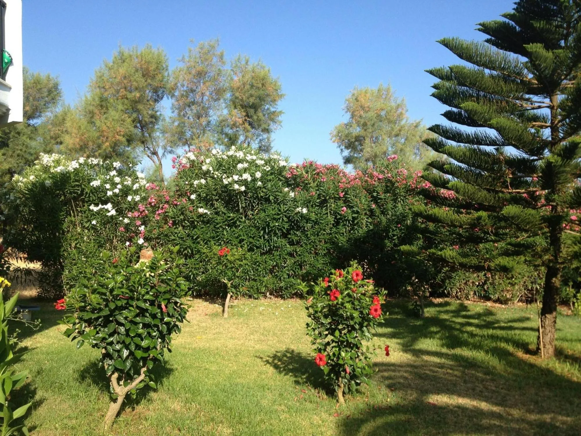 Day in Lito Beach Hotel