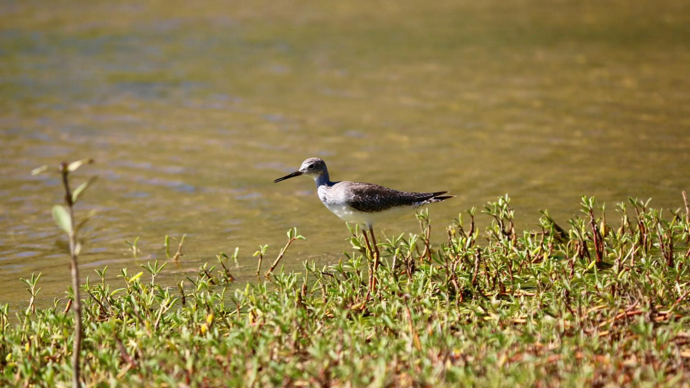 Nearby landmark in I Love Combate Rooms & Suites