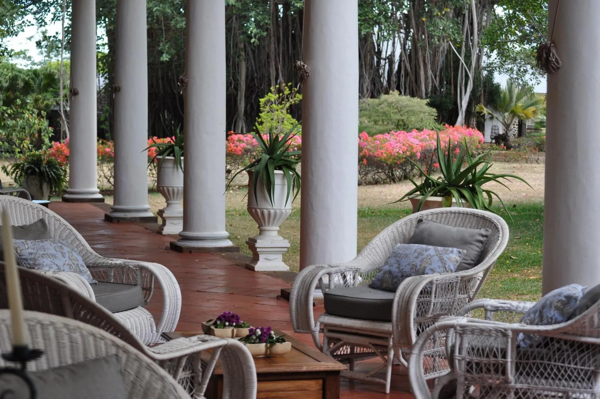 Balcony/Terrace in La Demeure Saint Antoine
