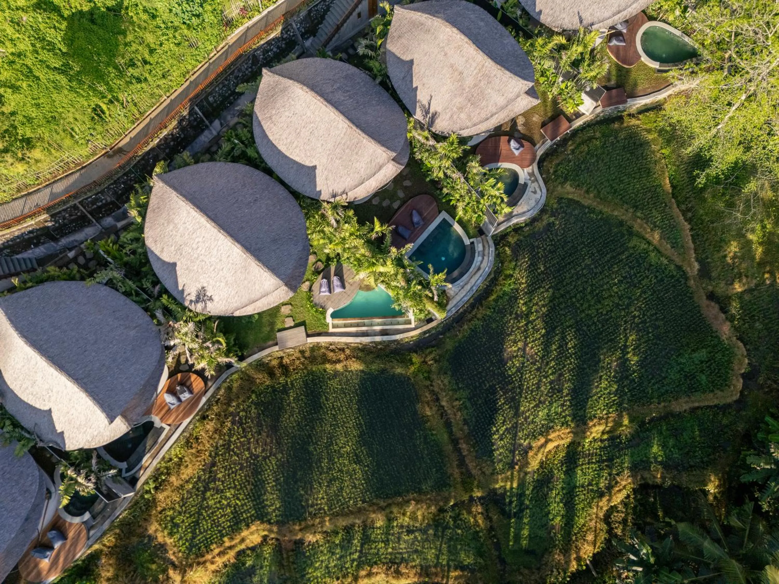 Natural landscape in Emana Bambooscape